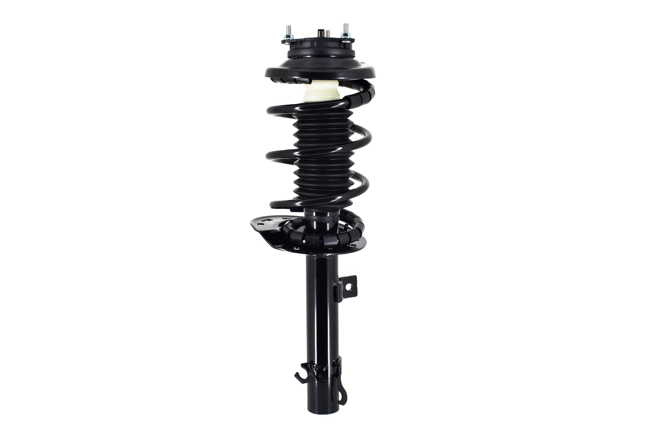 Suspension Strut and Coil Spring Assembly