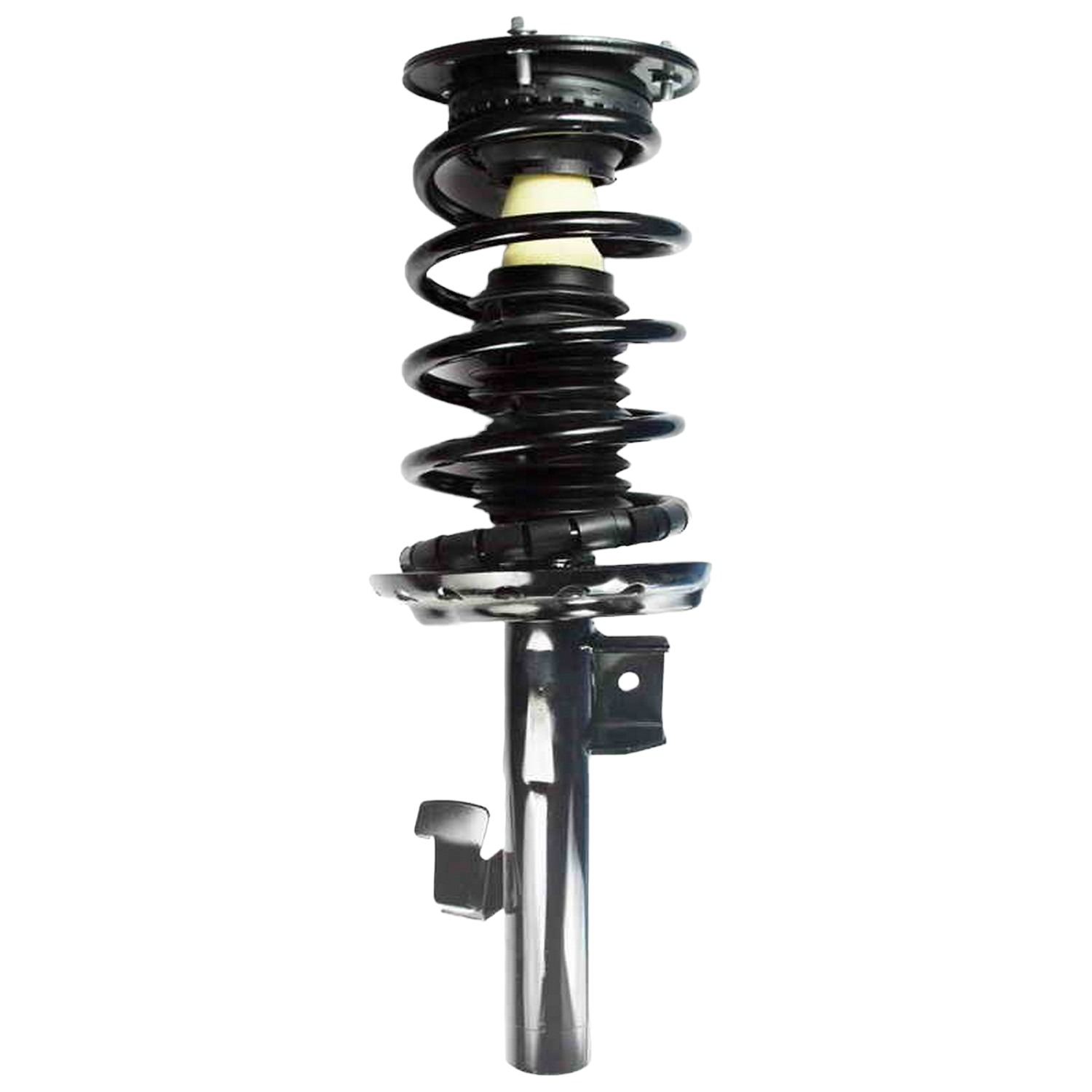 Suspension Strut and Coil Spring Assembly