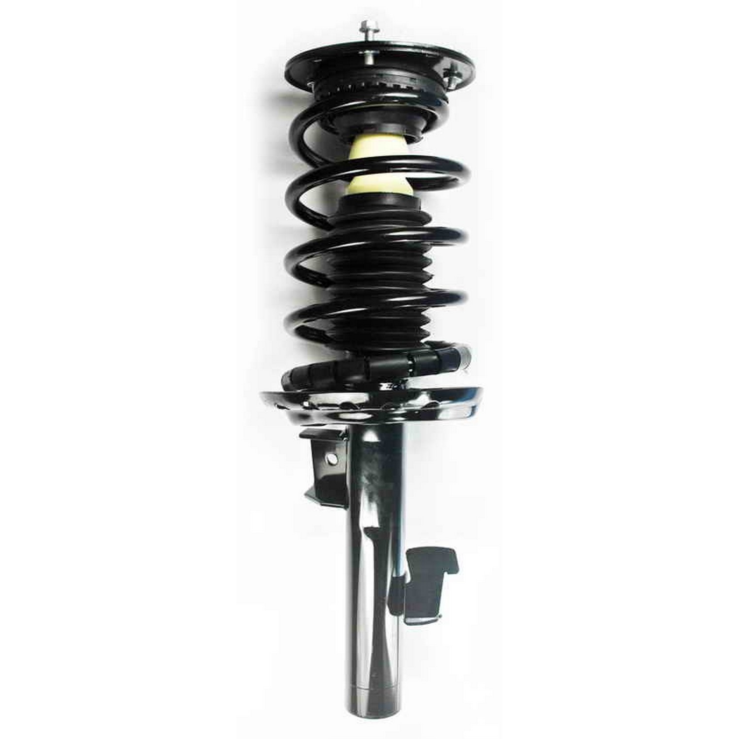 Suspension Strut and Coil Spring Assembly