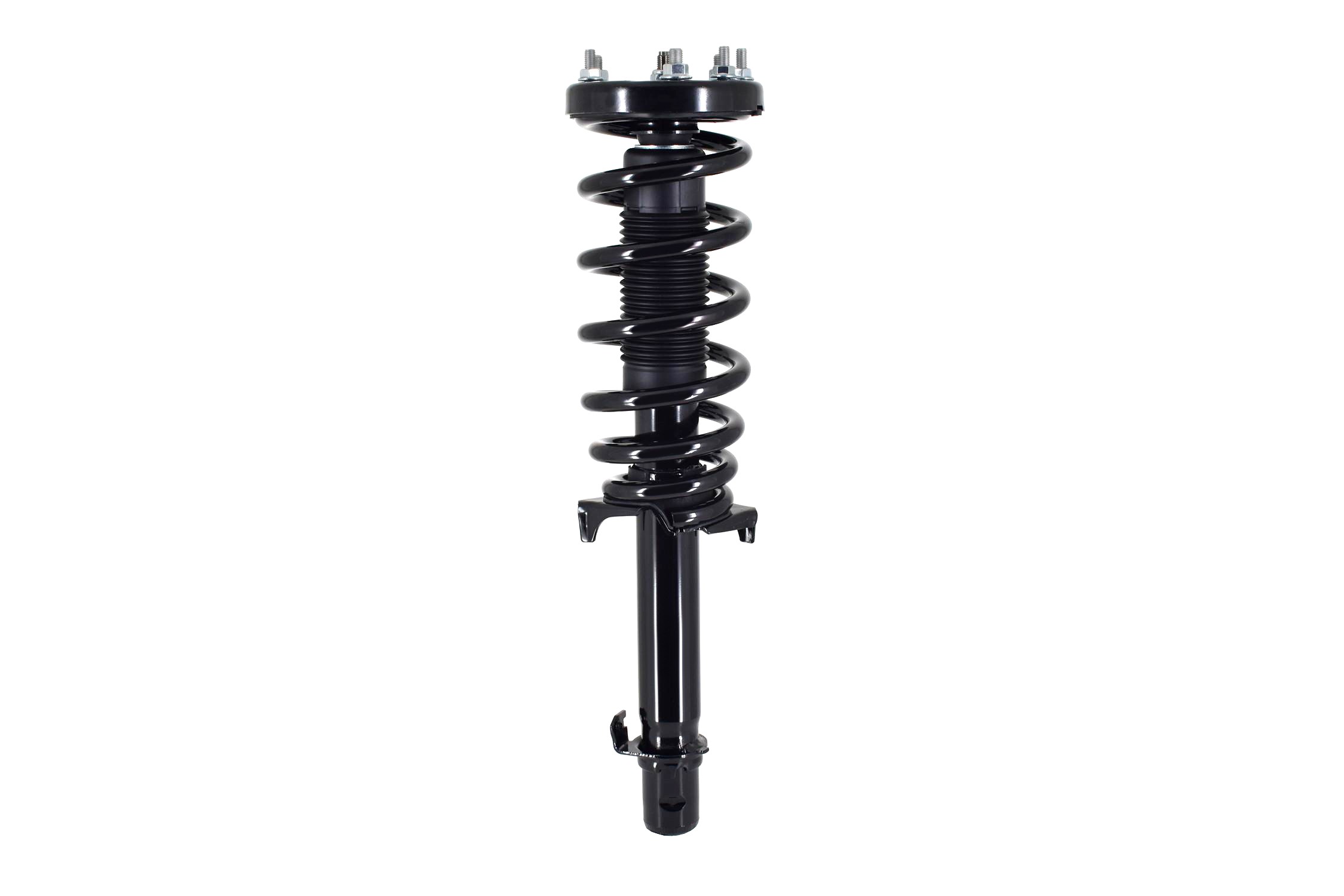 Suspension Strut and Coil Spring Assembly