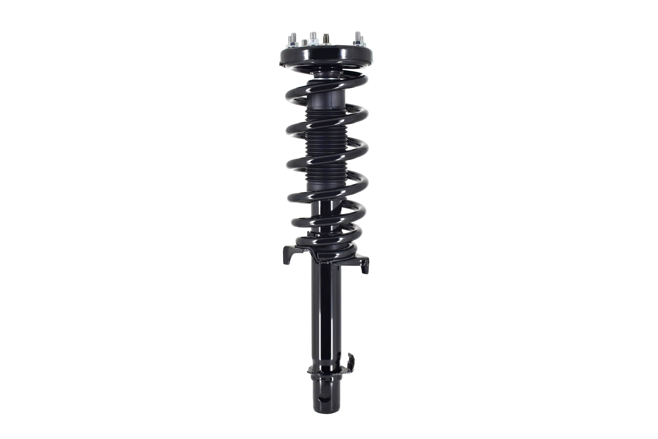 Suspension Strut and Coil Spring Assembly