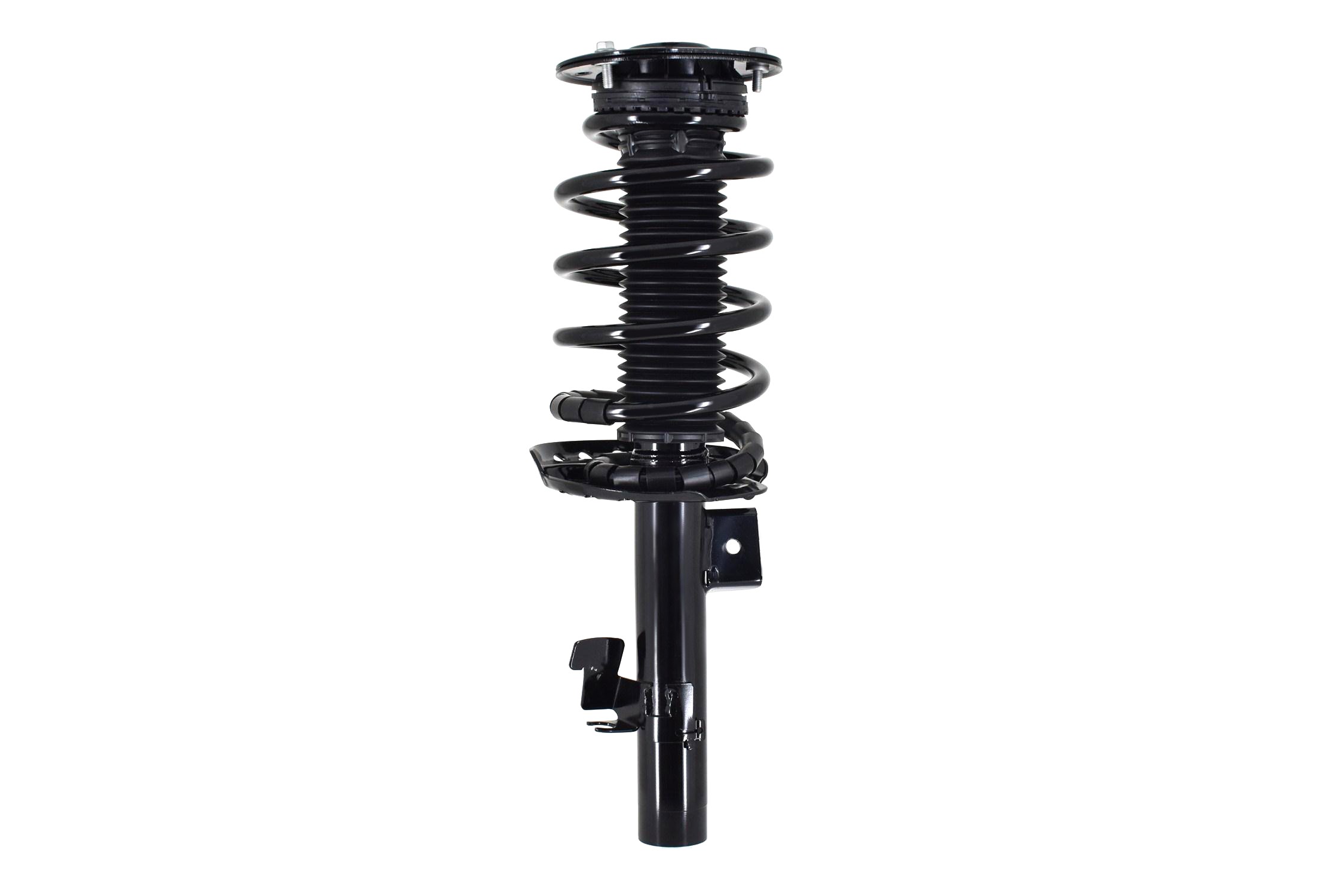Suspension Strut and Coil Spring Assembly