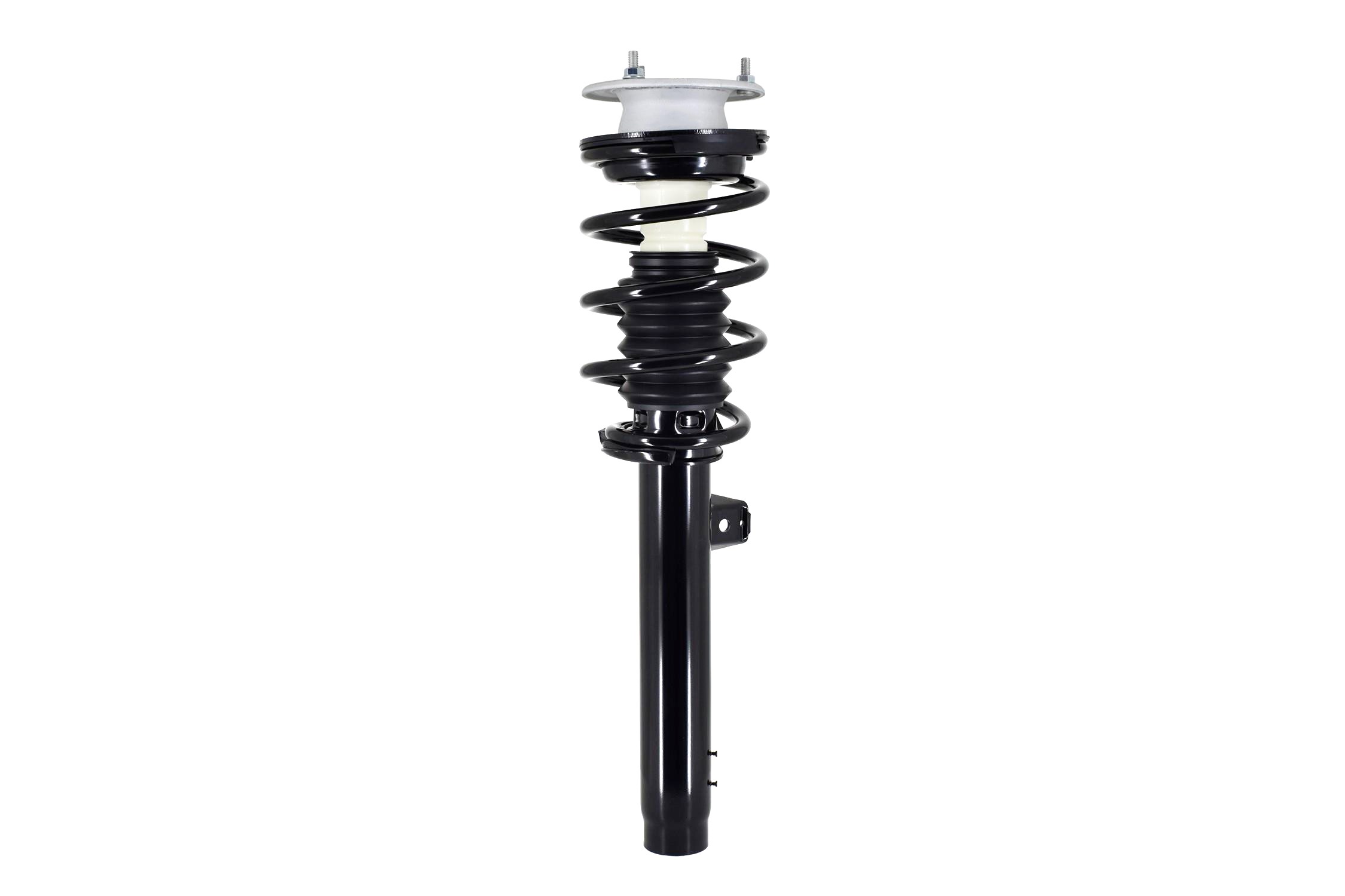 Suspension Strut and Coil Spring Assembly