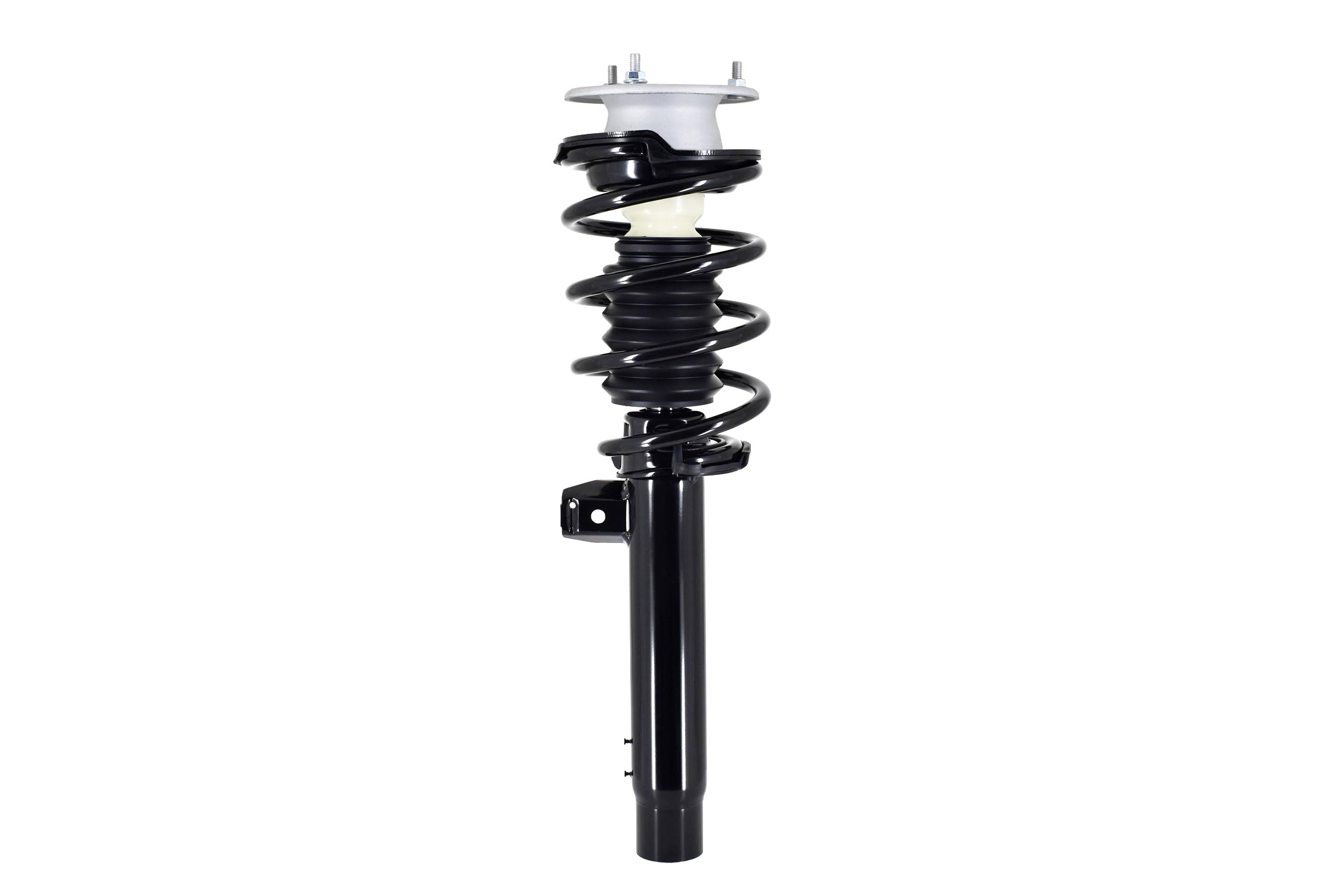 Suspension Strut and Coil Spring Assembly