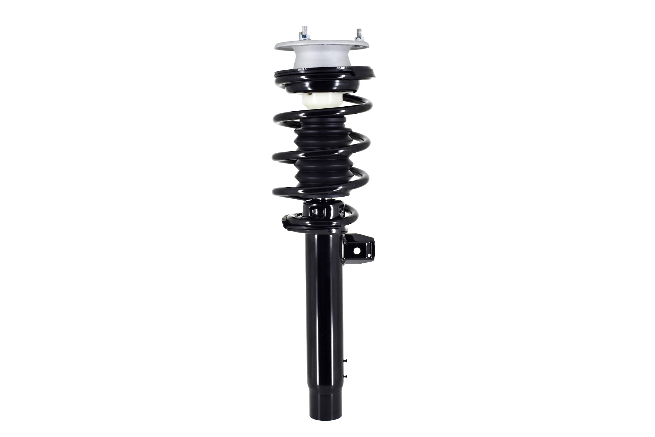 Suspension Strut and Coil Spring Assembly