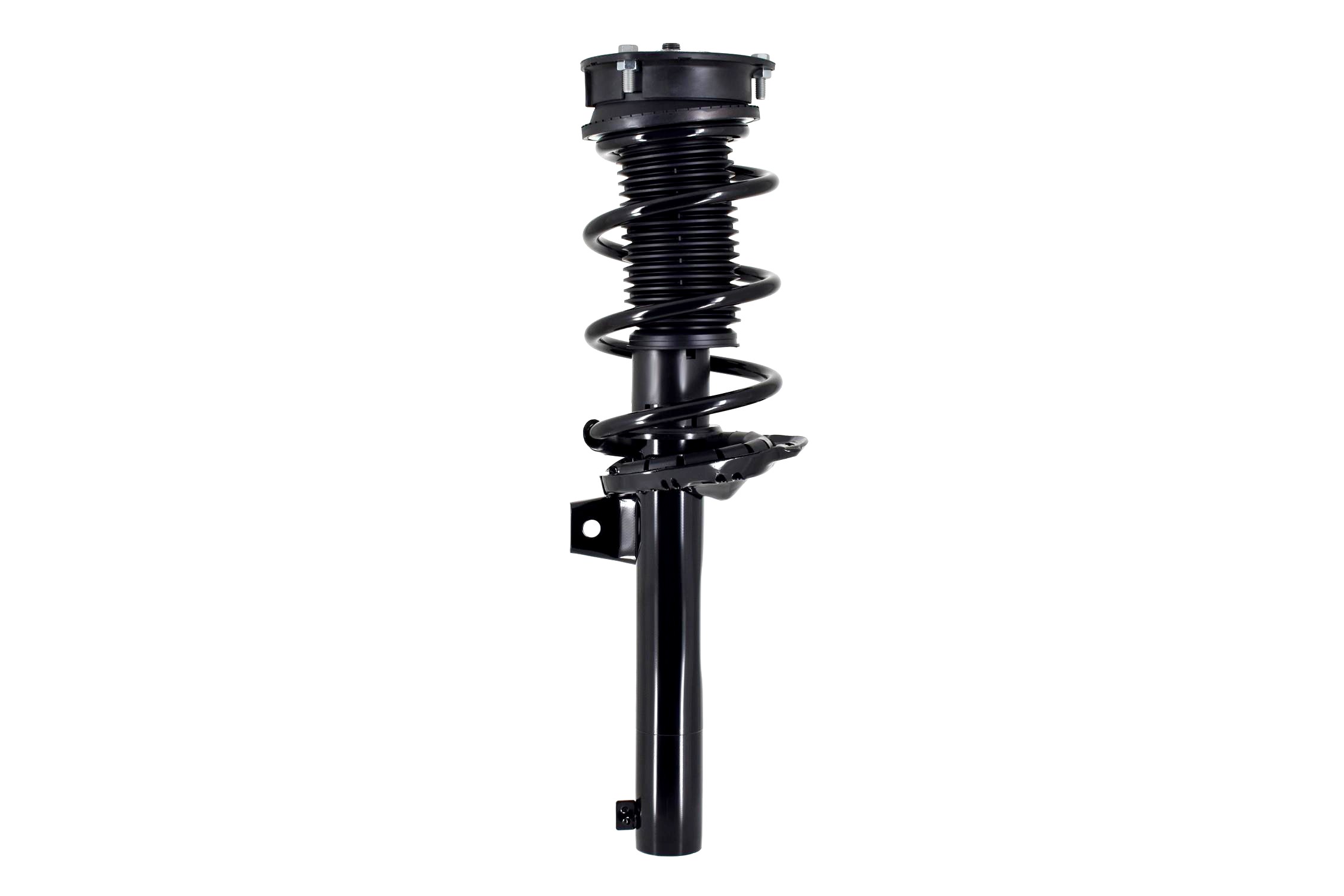 Suspension Strut and Coil Spring Assembly