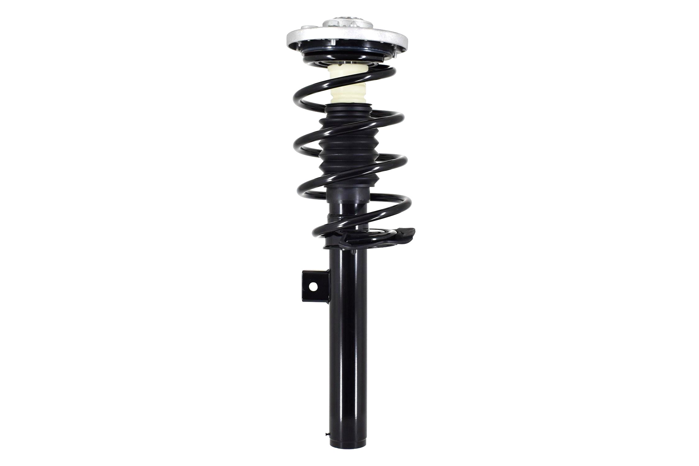 Suspension Strut and Coil Spring Assembly
