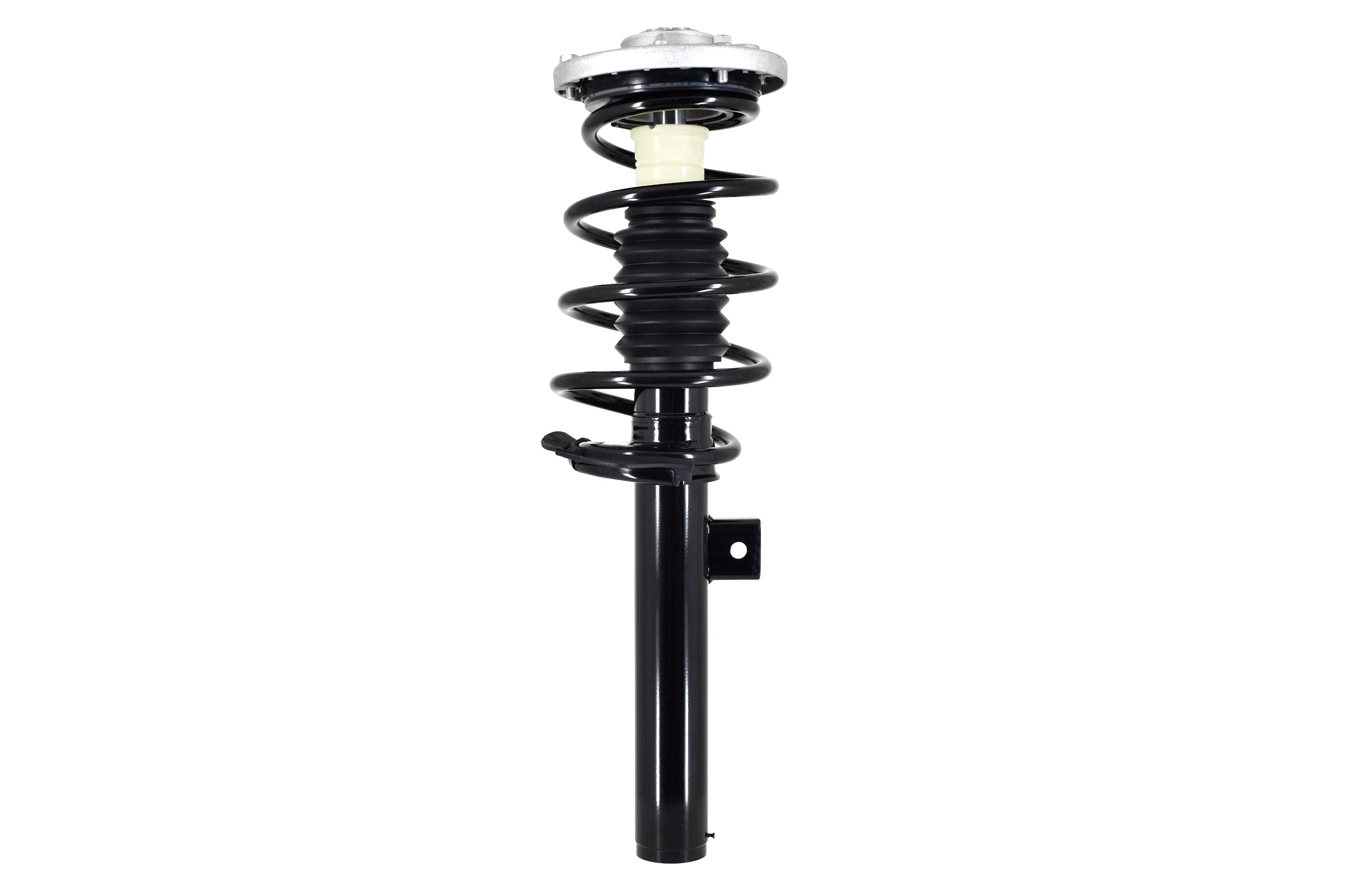 Suspension Strut and Coil Spring Assembly