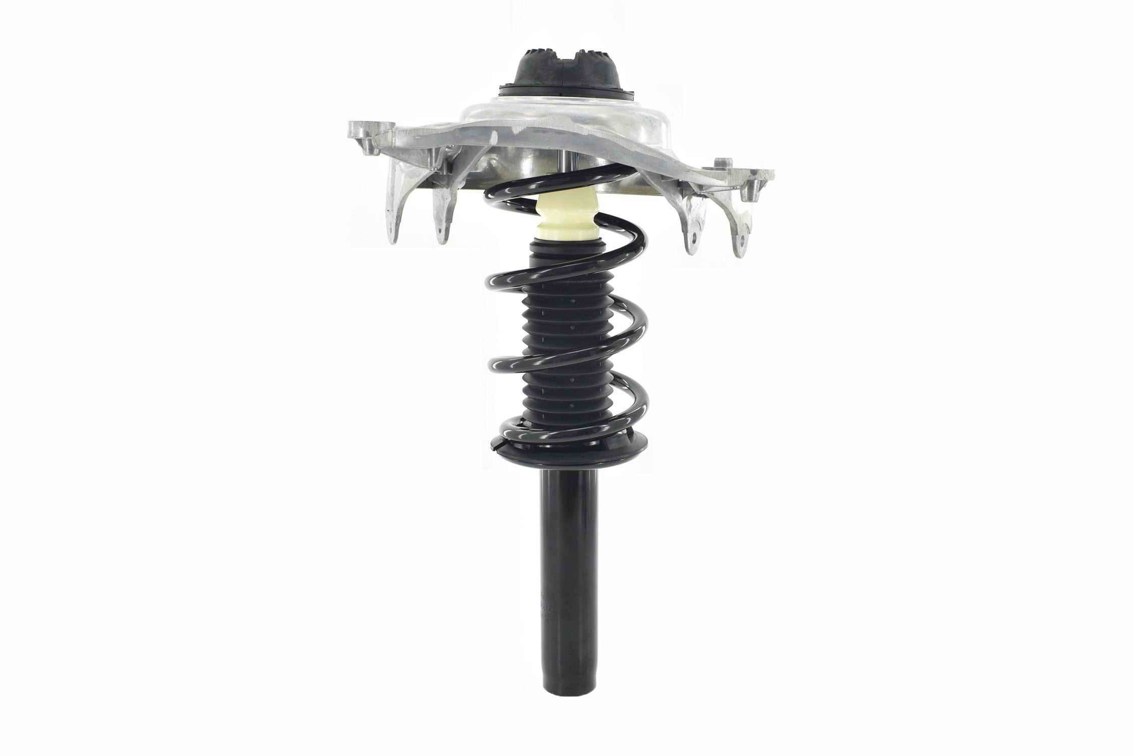 Suspension Strut and Coil Spring Assembly
