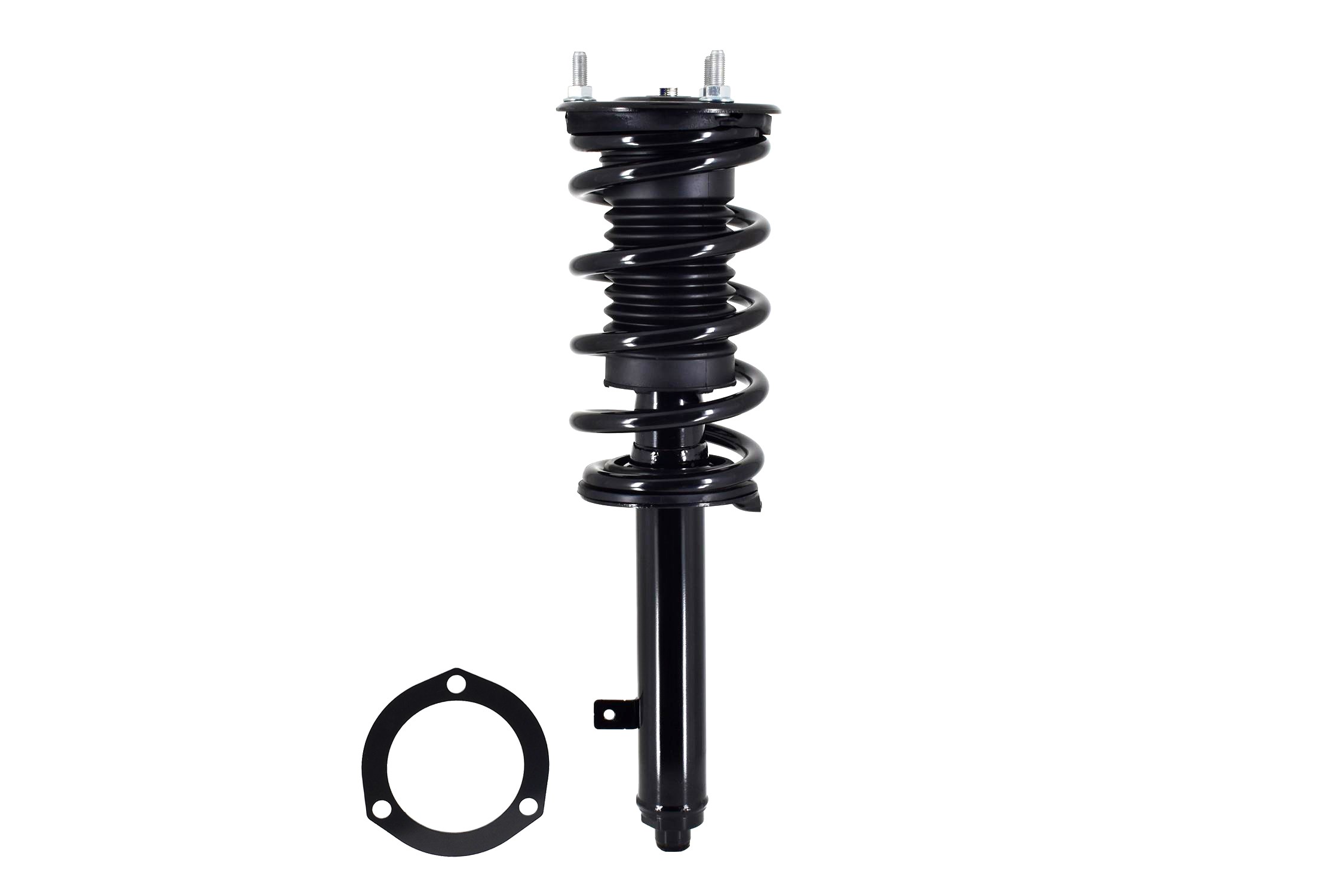 Suspension Strut and Coil Spring Assembly