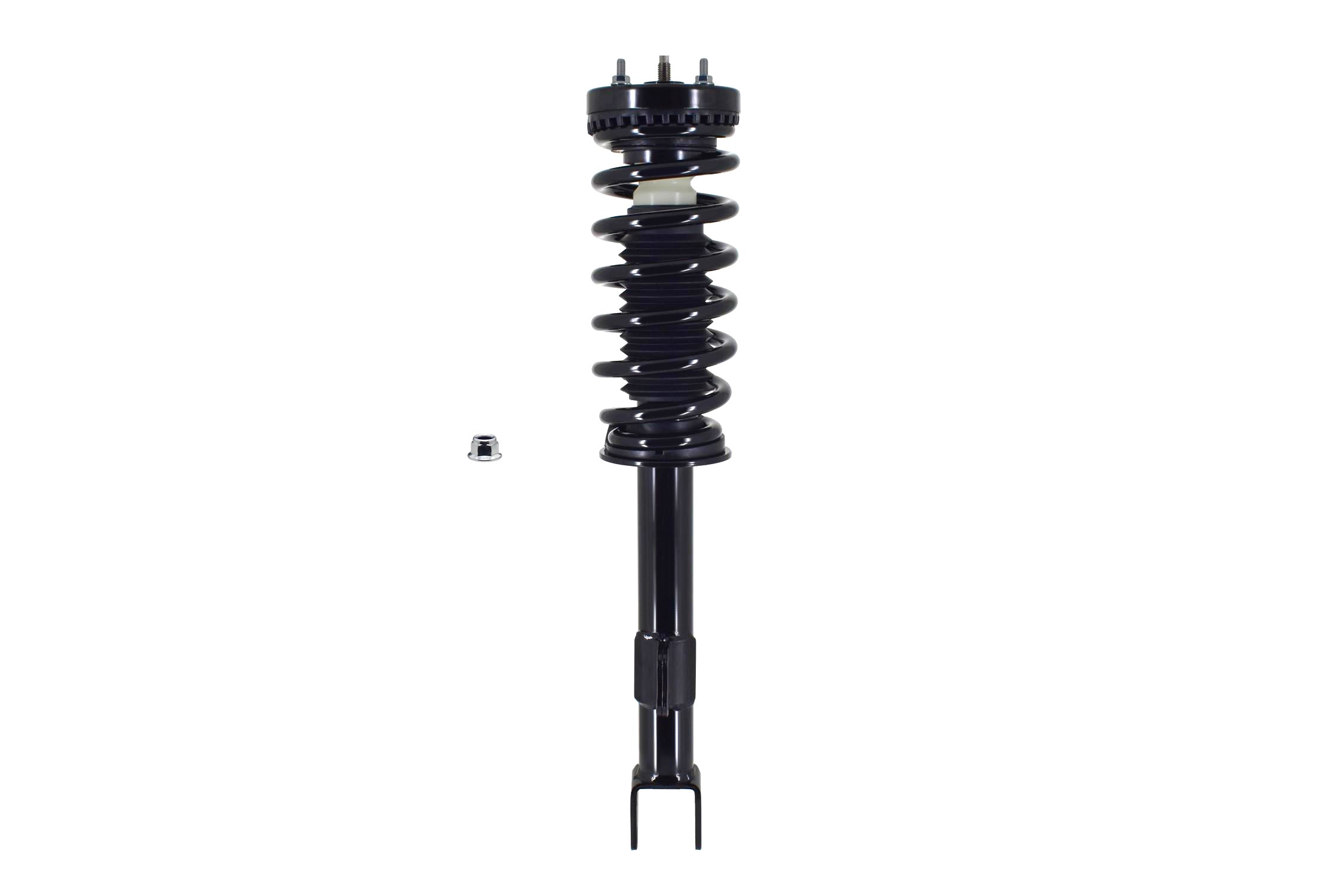 Suspension Strut and Coil Spring Assembly