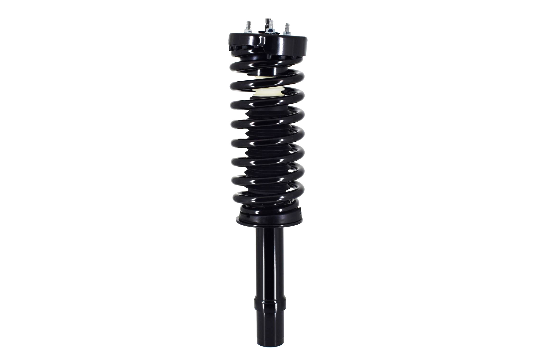 Suspension Strut and Coil Spring Assembly