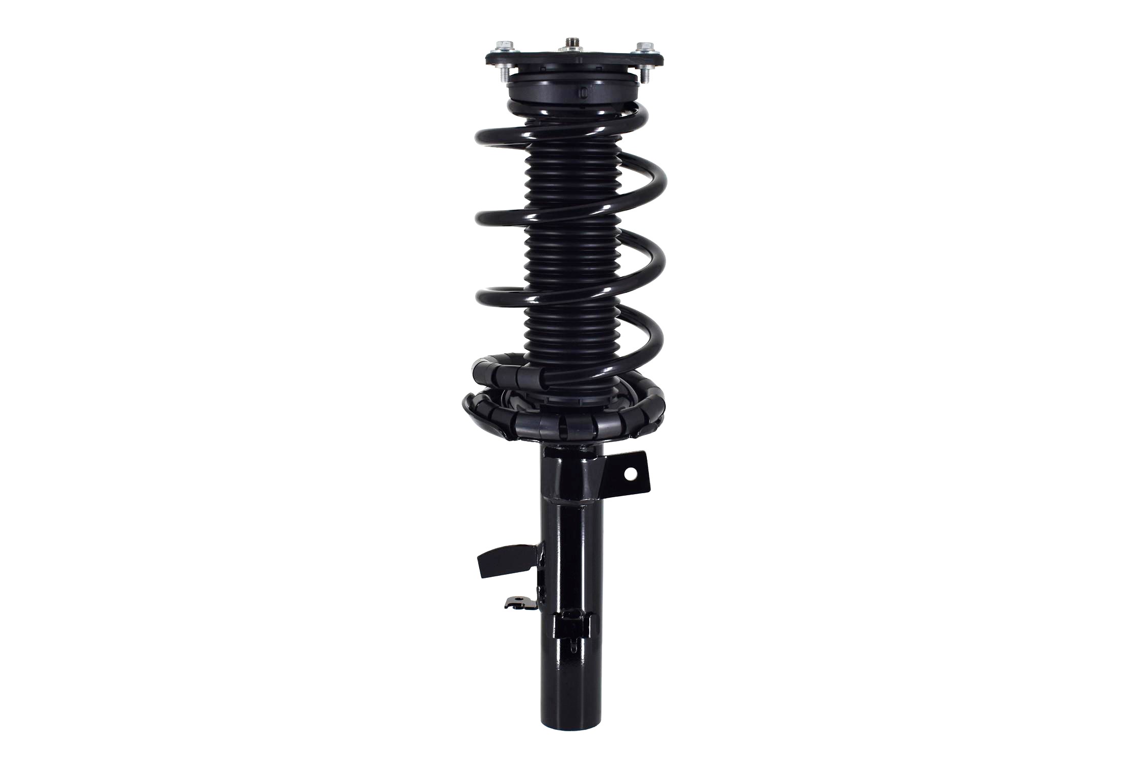 Suspension Strut and Coil Spring Assembly