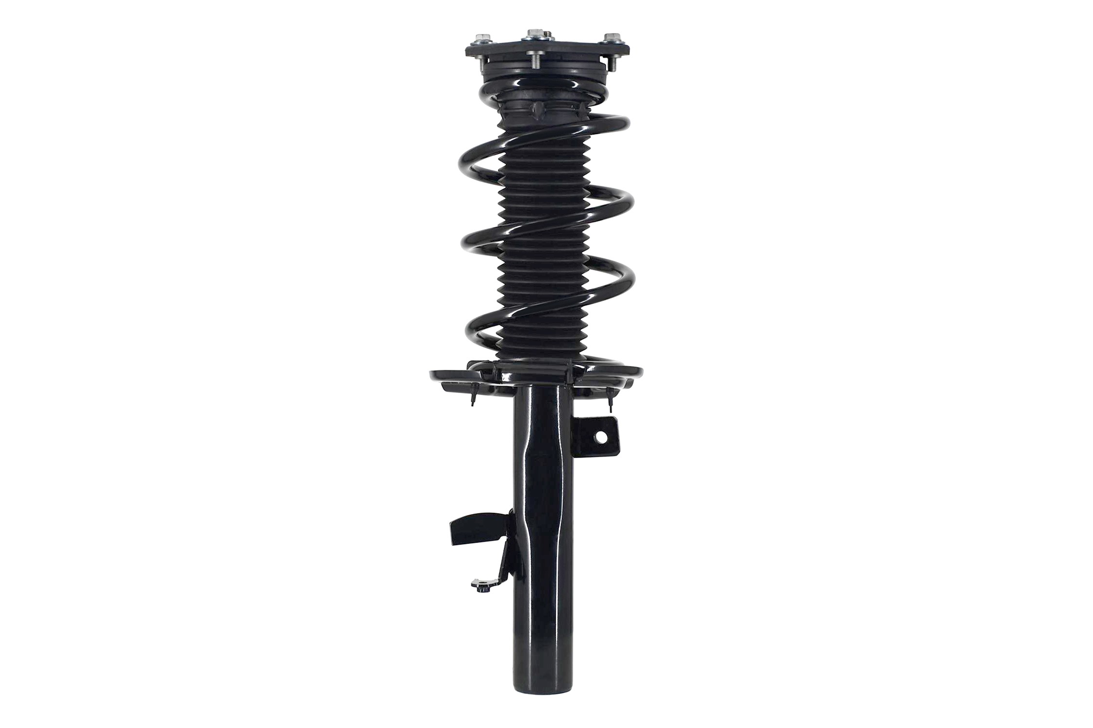 Suspension Strut and Coil Spring Assembly