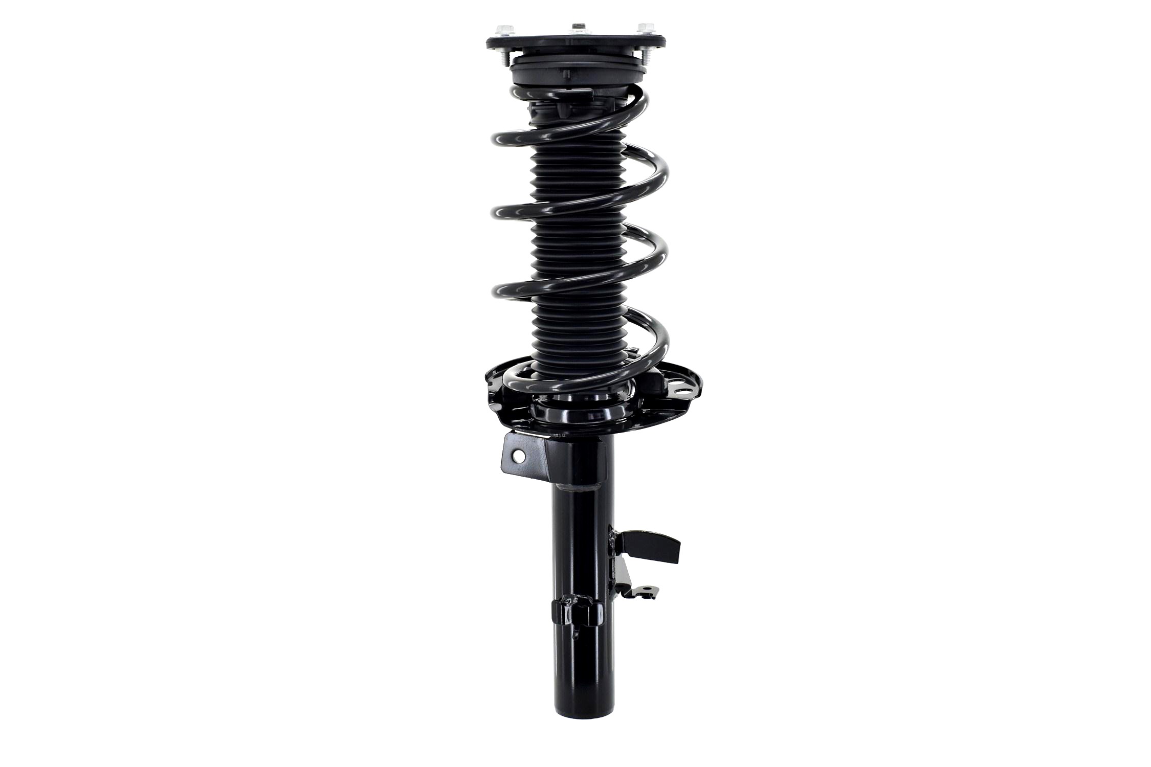 Suspension Strut and Coil Spring Assembly