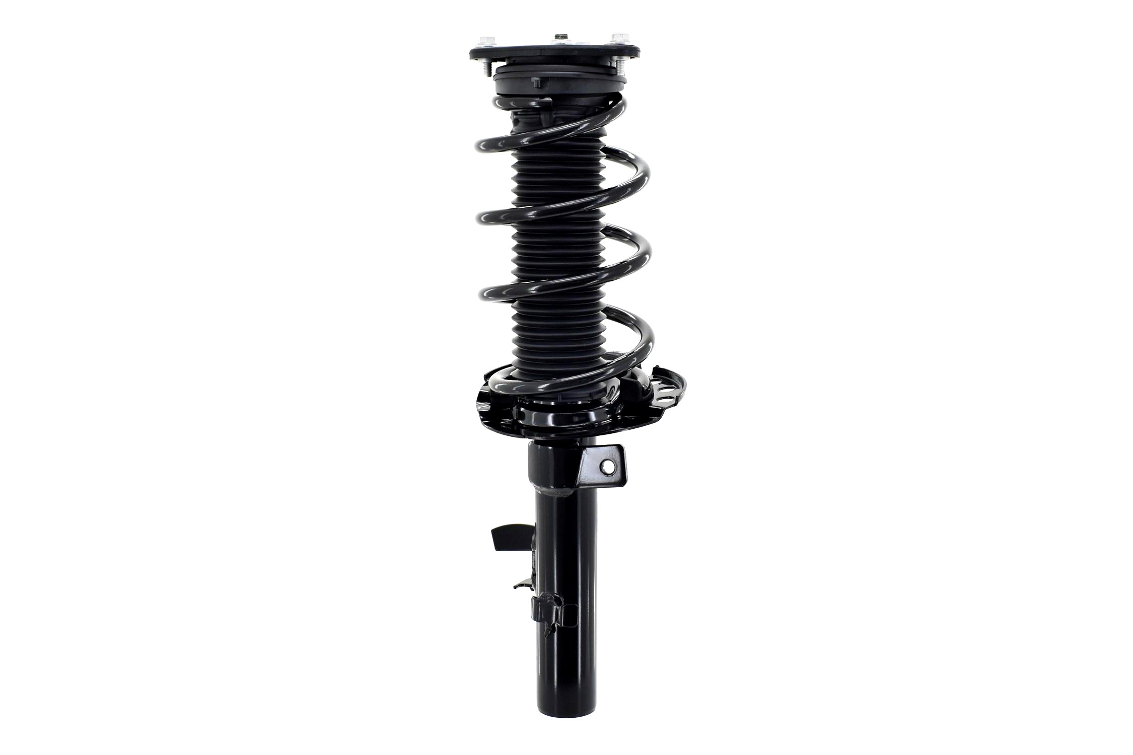 Suspension Strut and Coil Spring Assembly