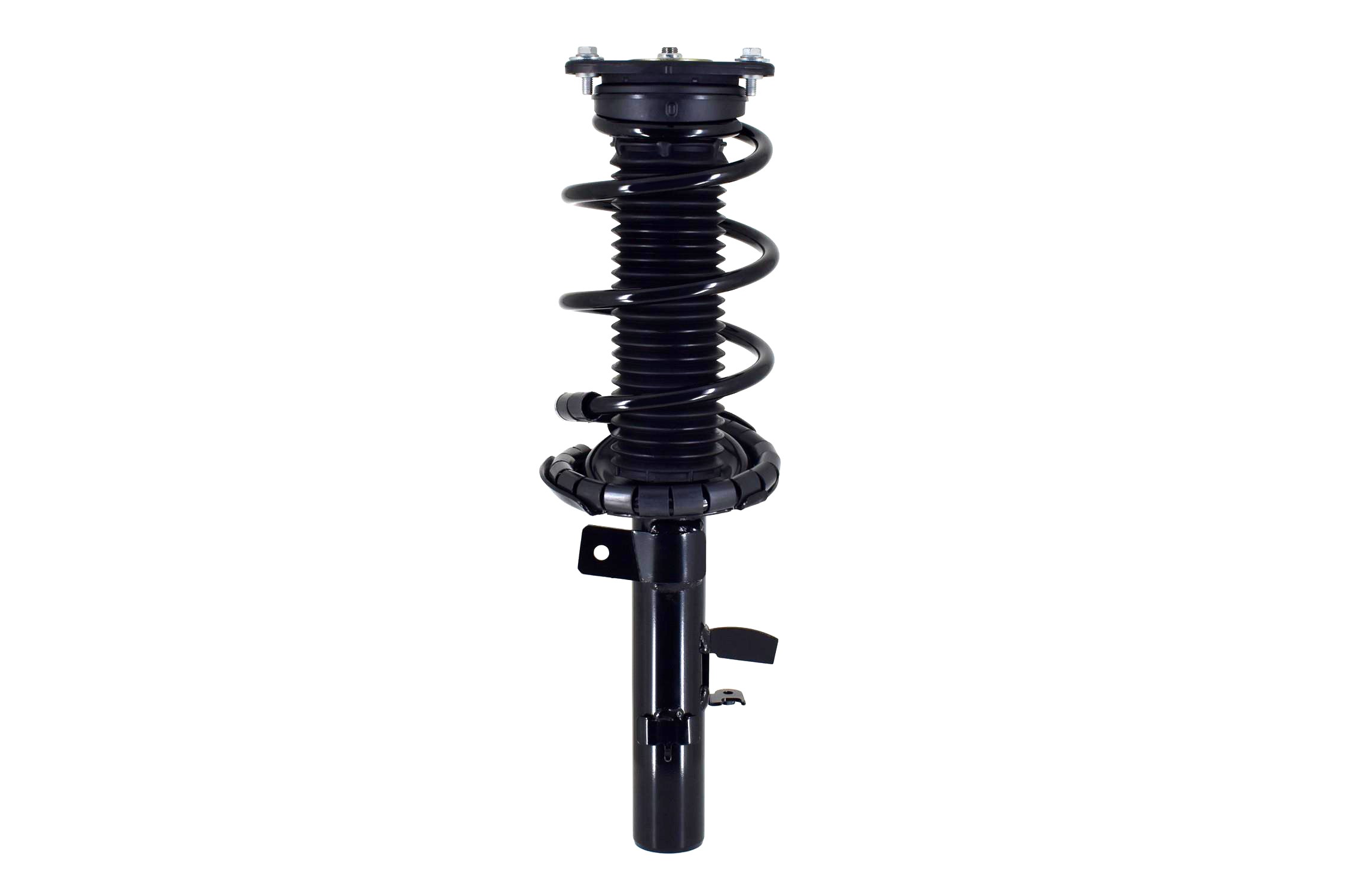 Suspension Strut and Coil Spring Assembly