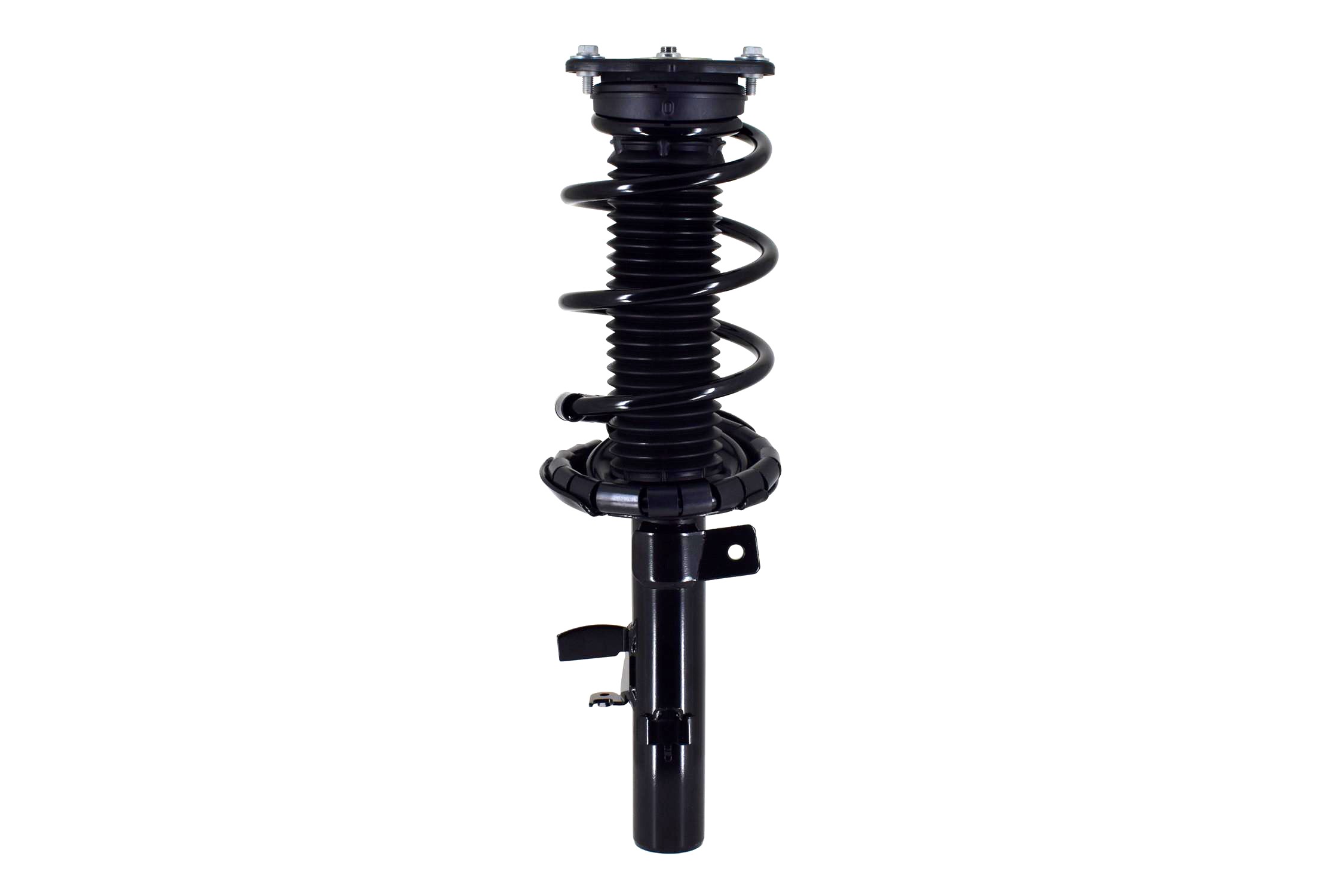Suspension Strut and Coil Spring Assembly