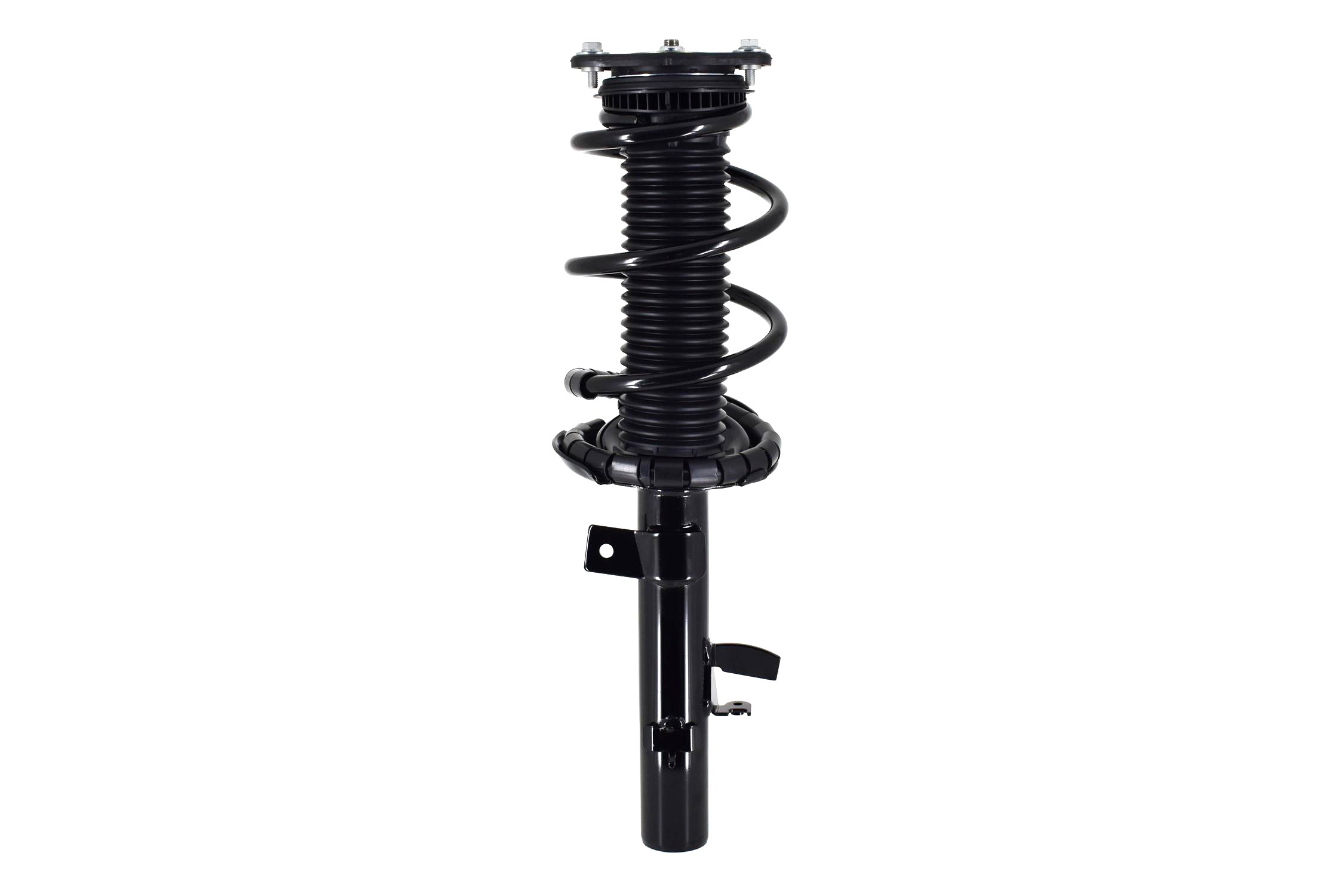 Suspension Strut and Coil Spring Assembly