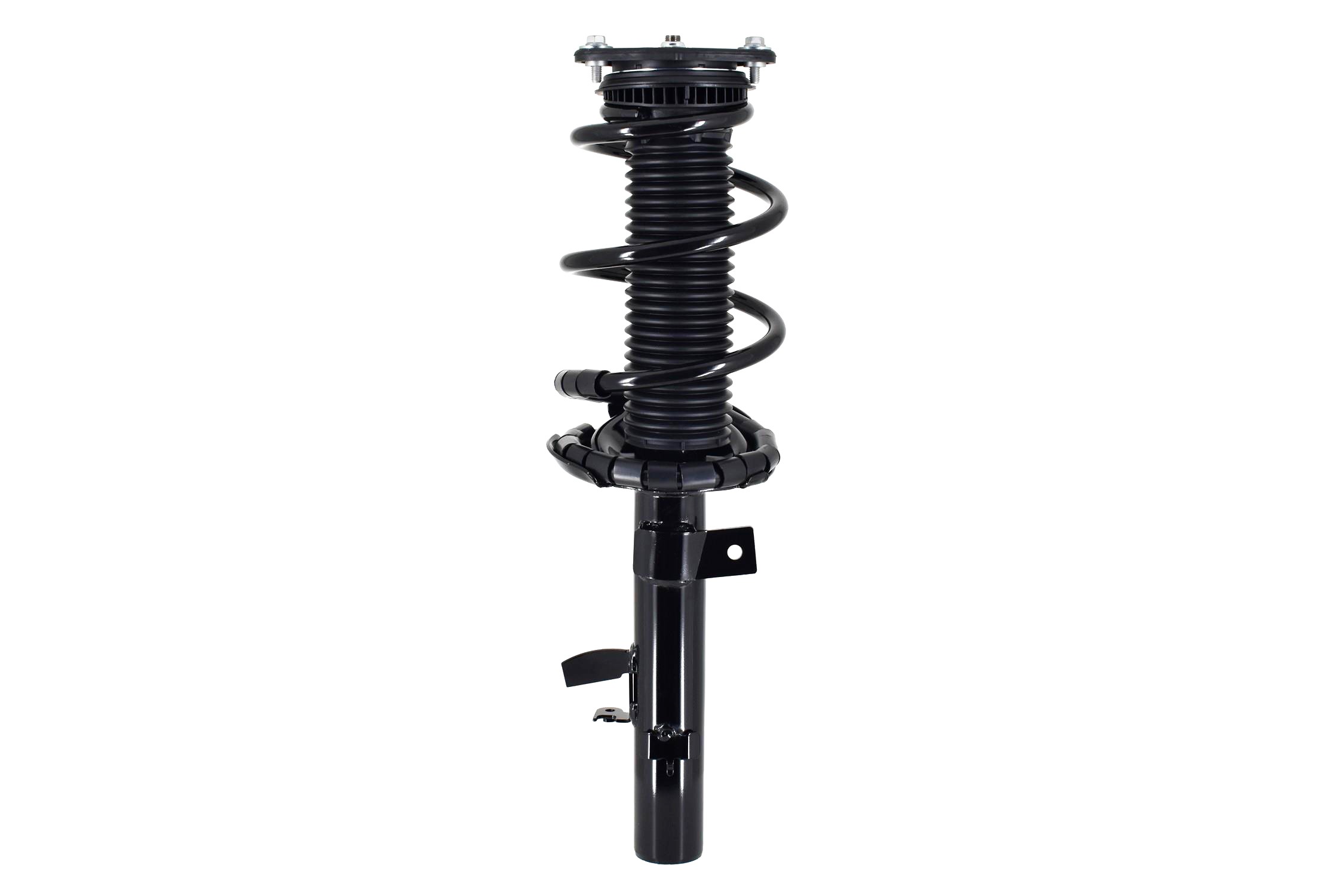 Suspension Strut and Coil Spring Assembly