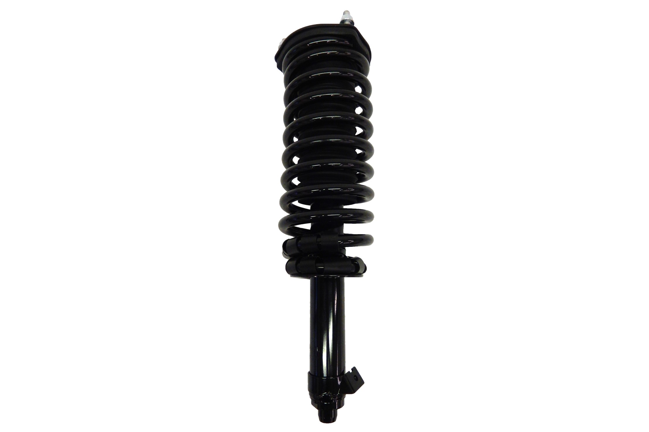 Suspension Strut and Coil Spring Assembly