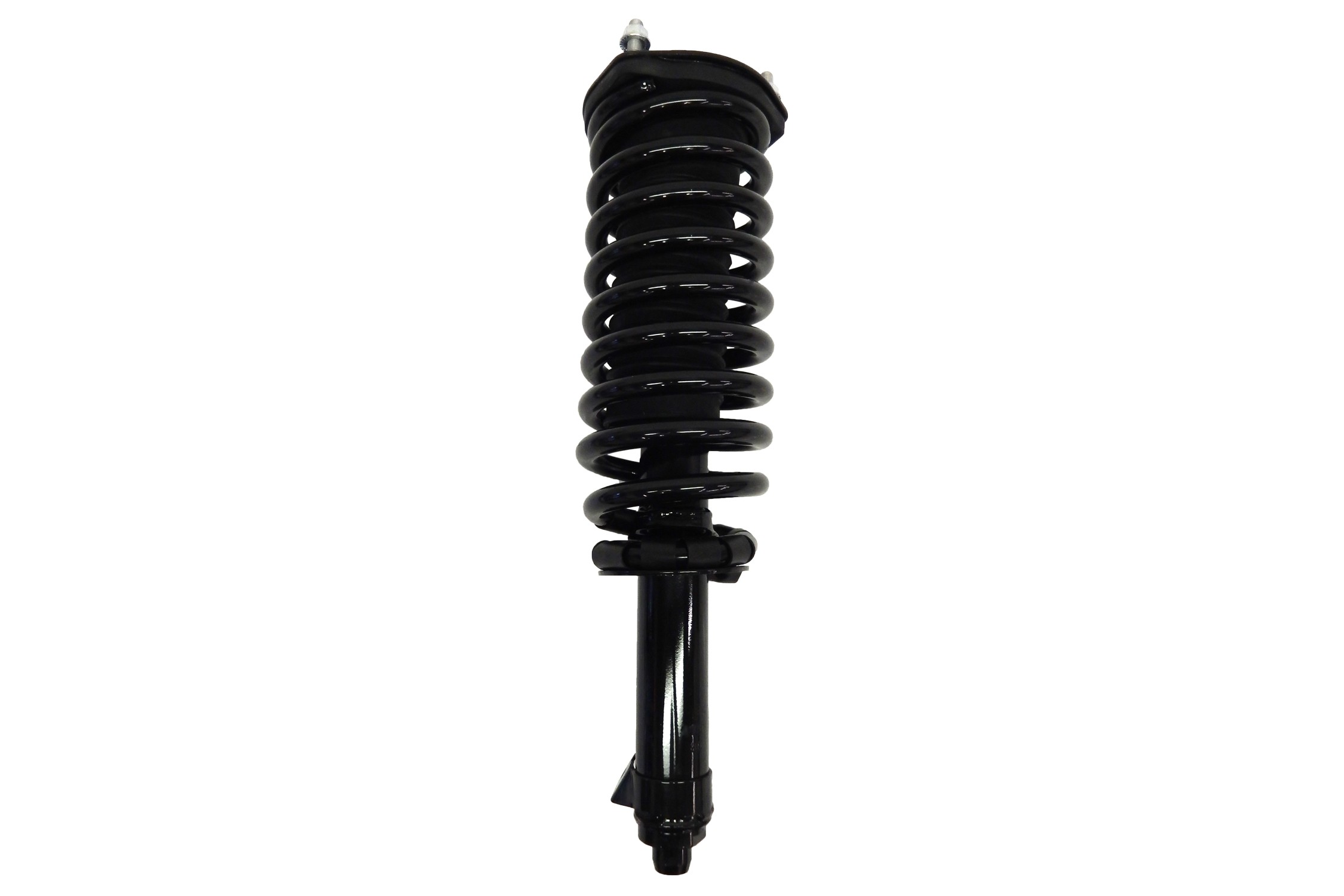 Suspension Strut and Coil Spring Assembly