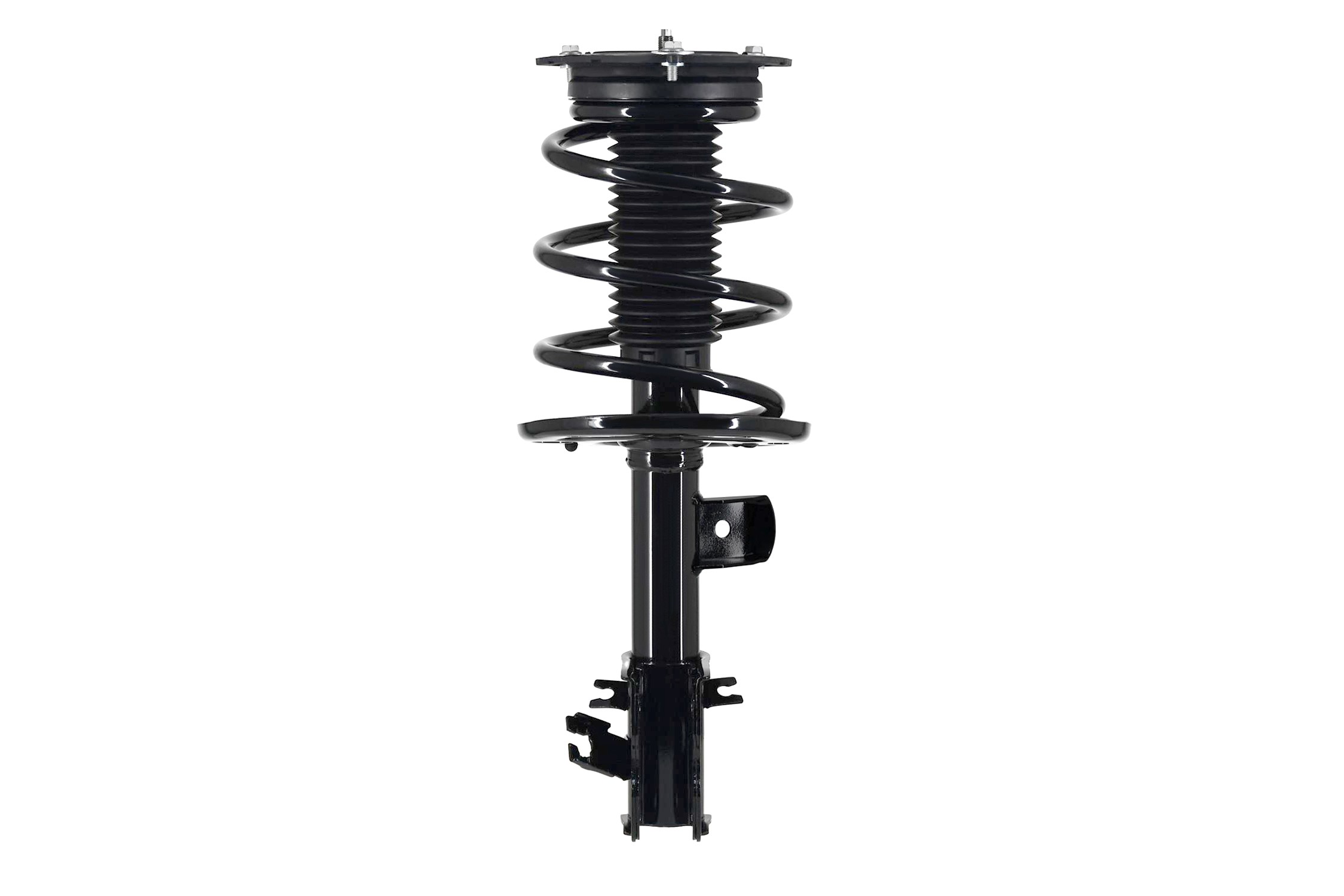 Suspension Strut and Coil Spring Assembly