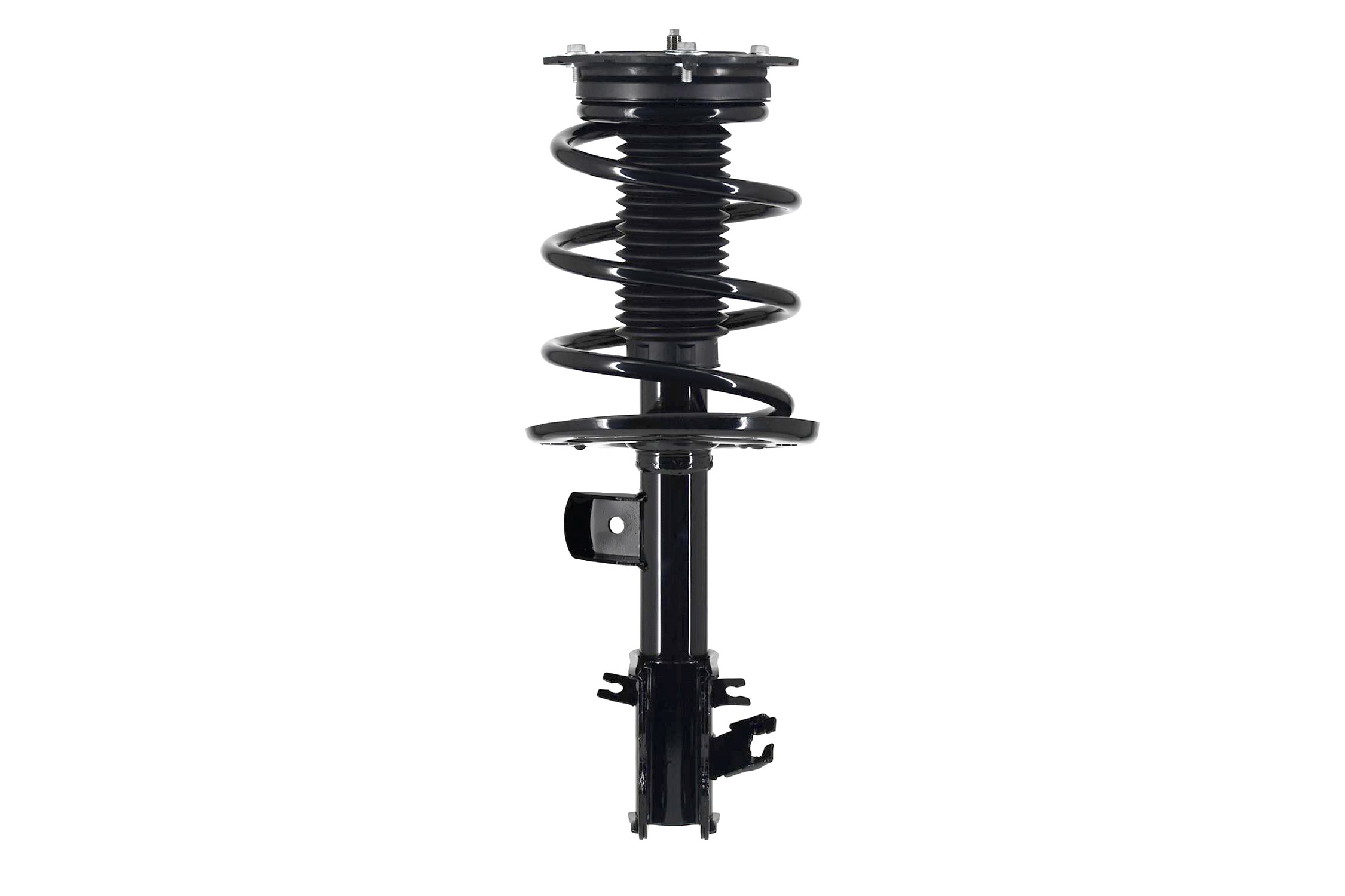 Suspension Strut and Coil Spring Assembly