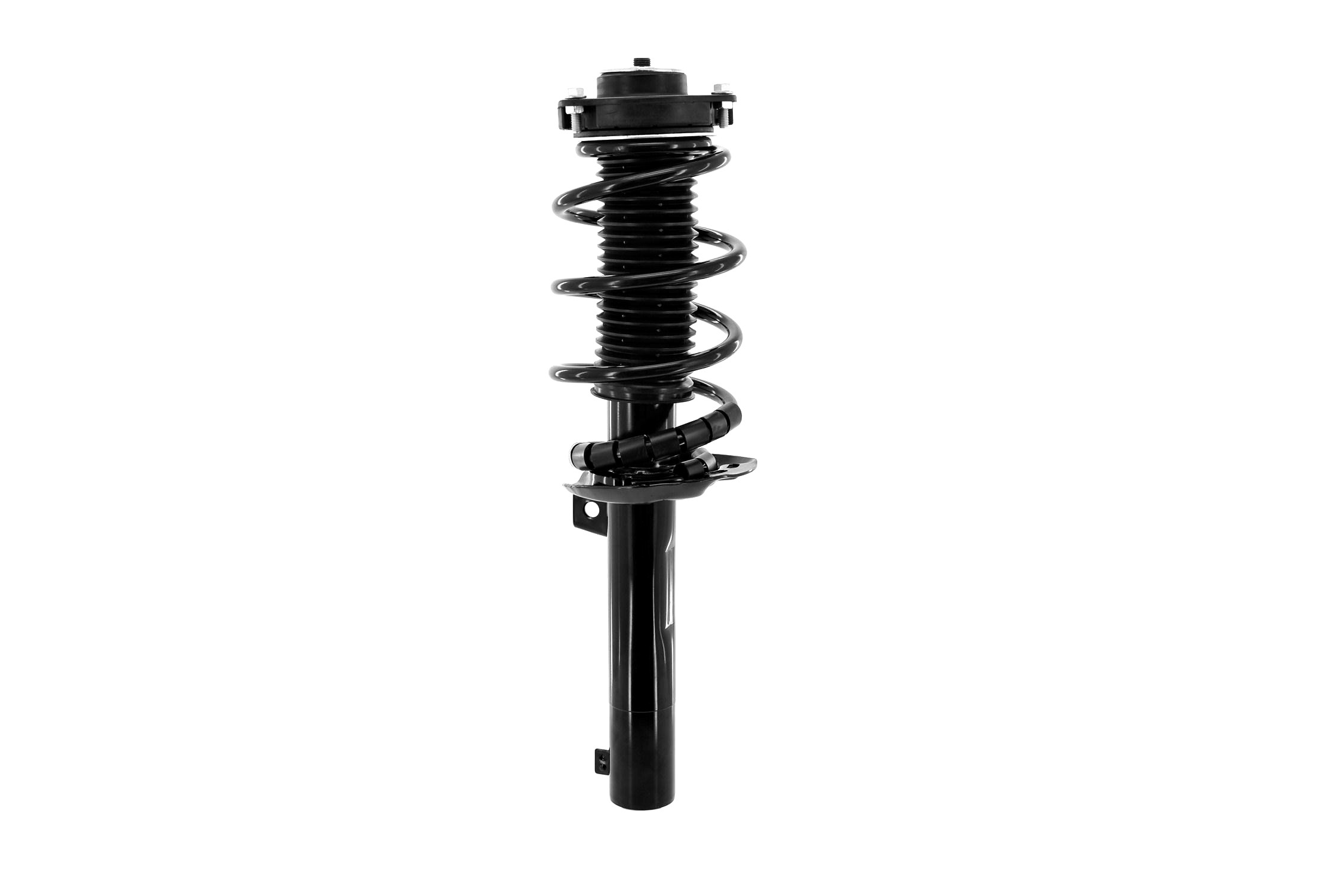 Suspension Strut and Coil Spring Assembly