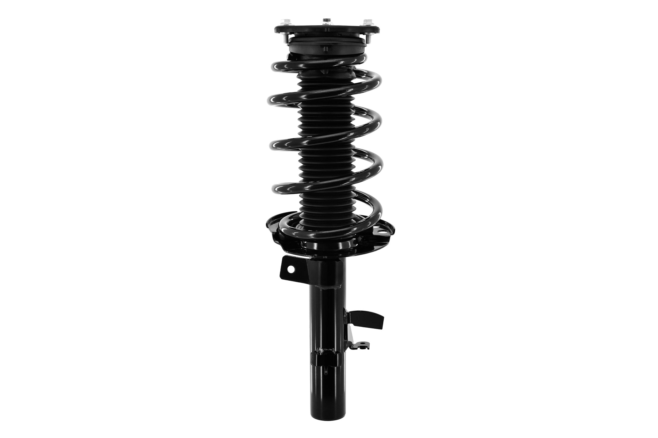 Suspension Strut and Coil Spring Assembly