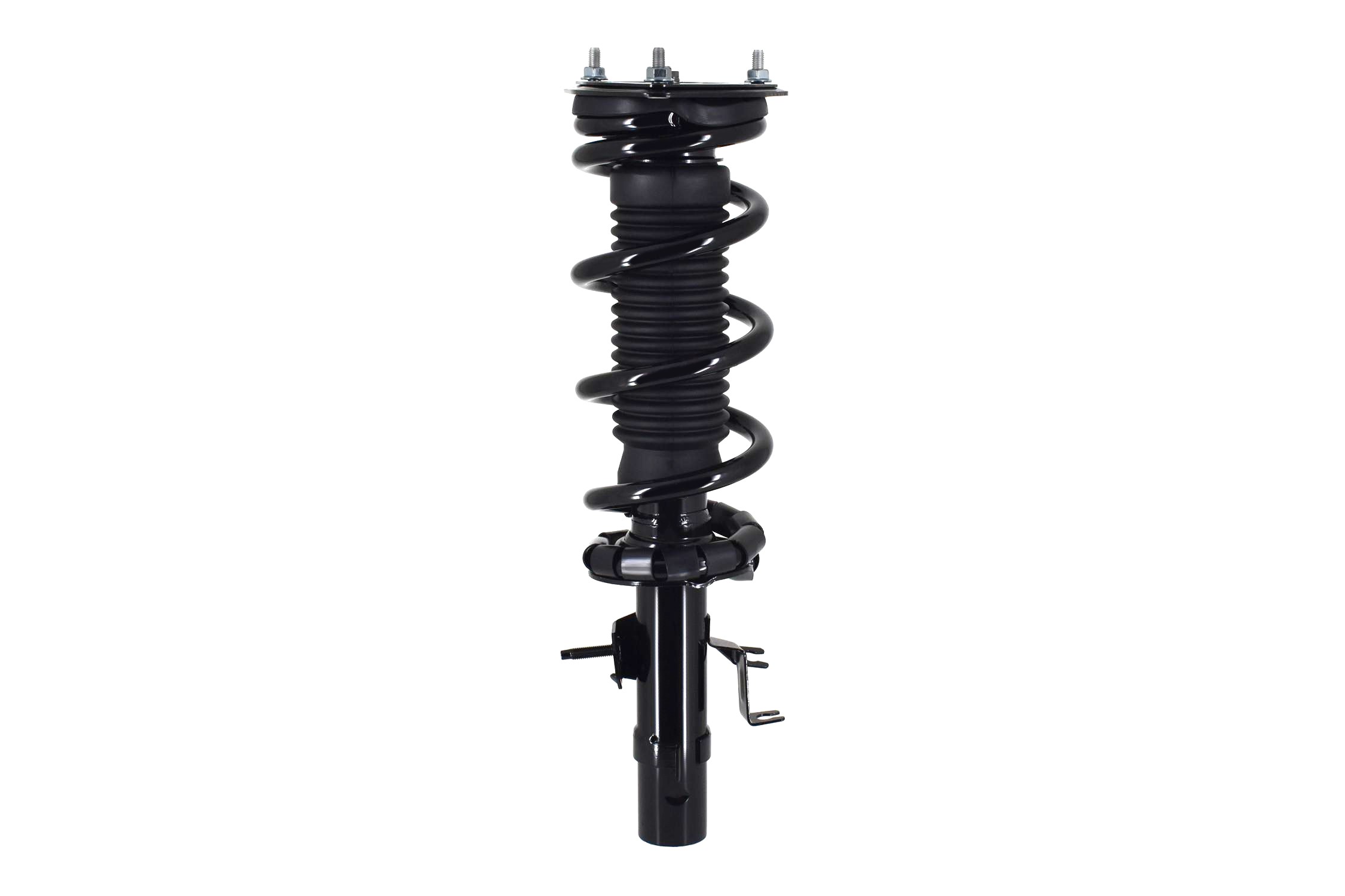 Suspension Strut and Coil Spring Assembly