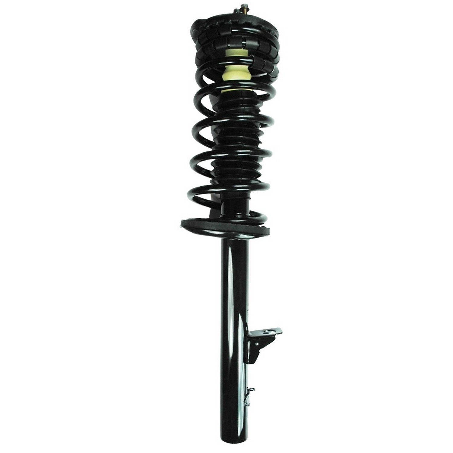 Suspension Strut and Coil Spring Assembly