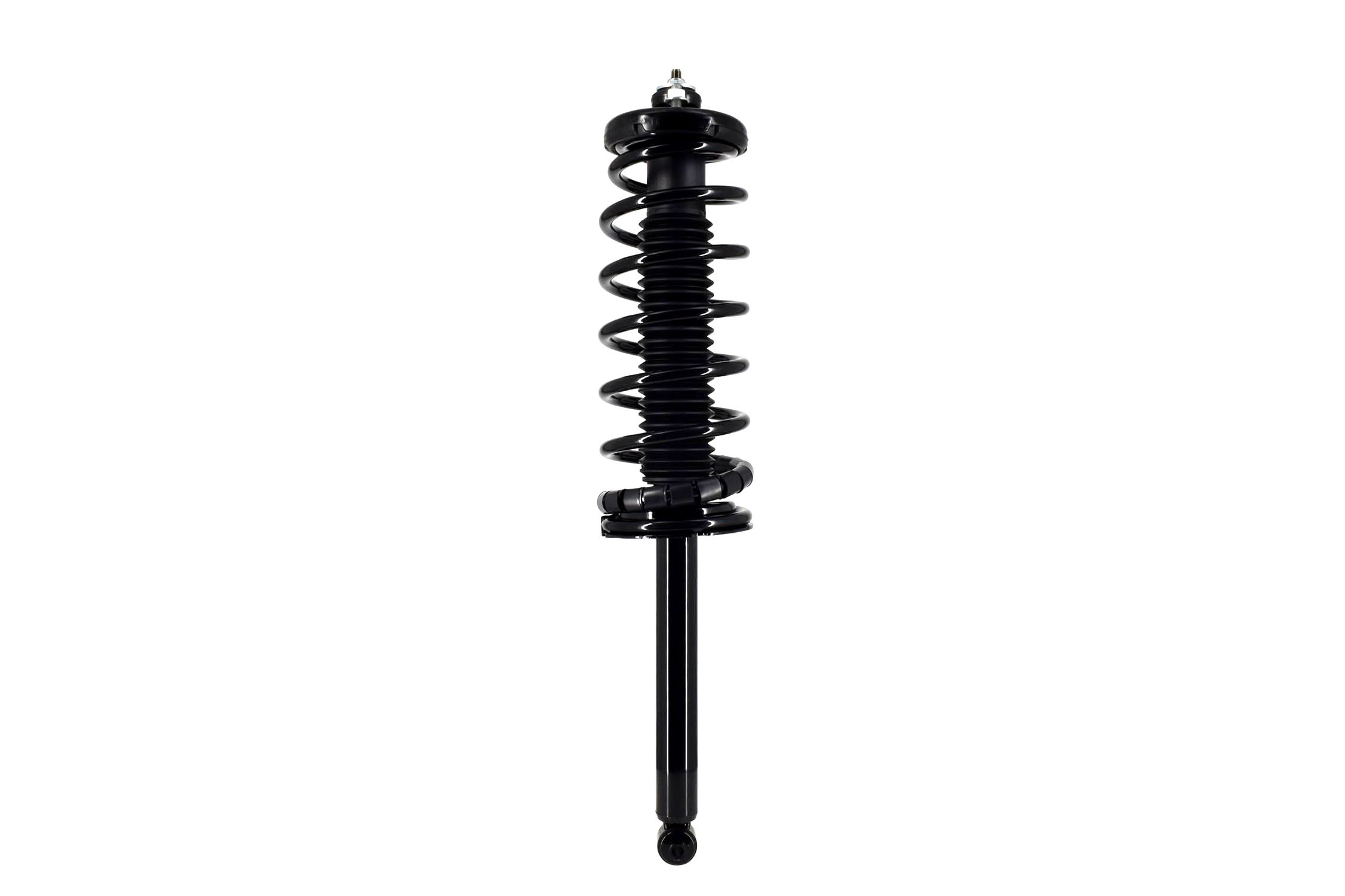 Suspension Strut and Coil Spring Assembly