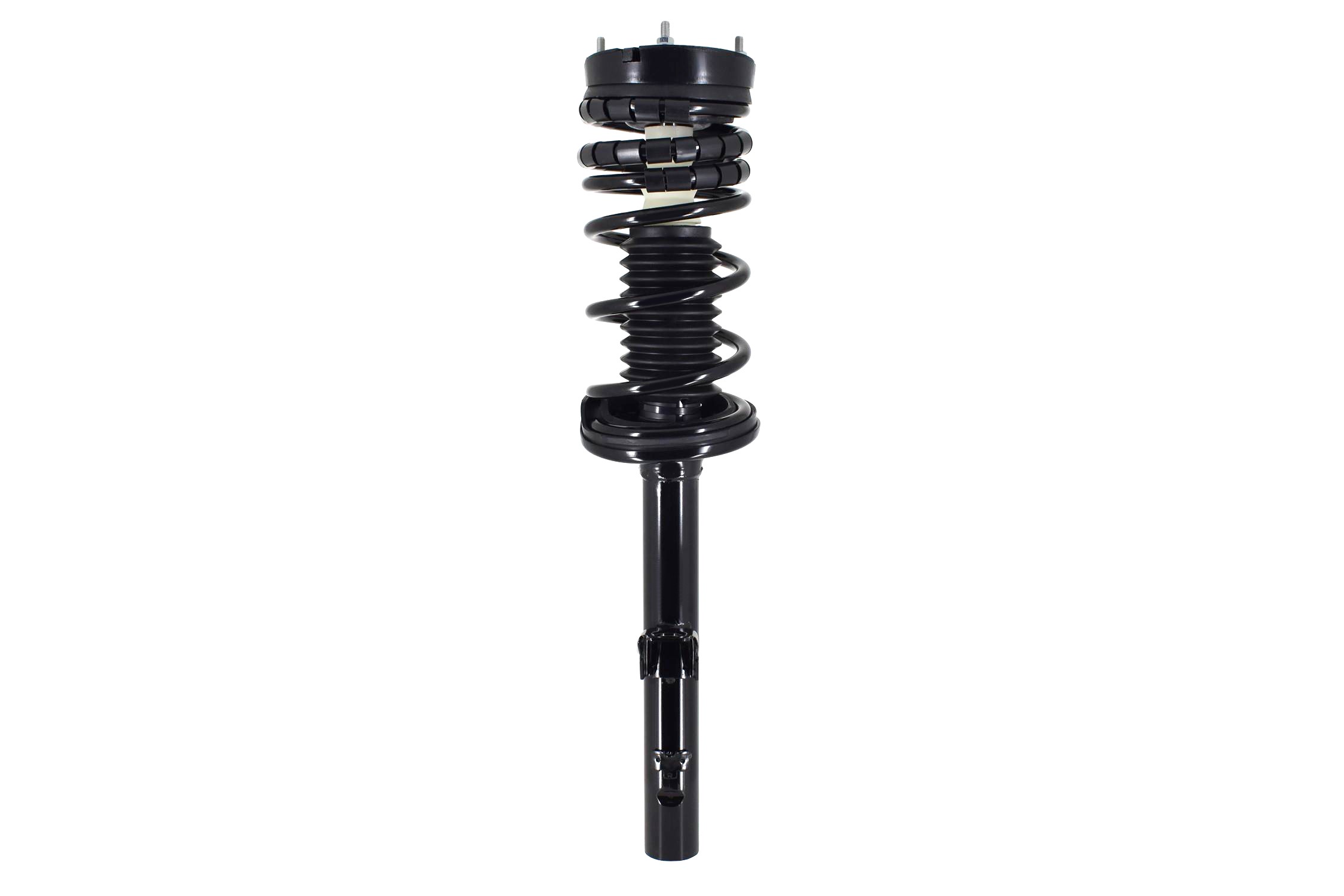 Suspension Strut and Coil Spring Assembly