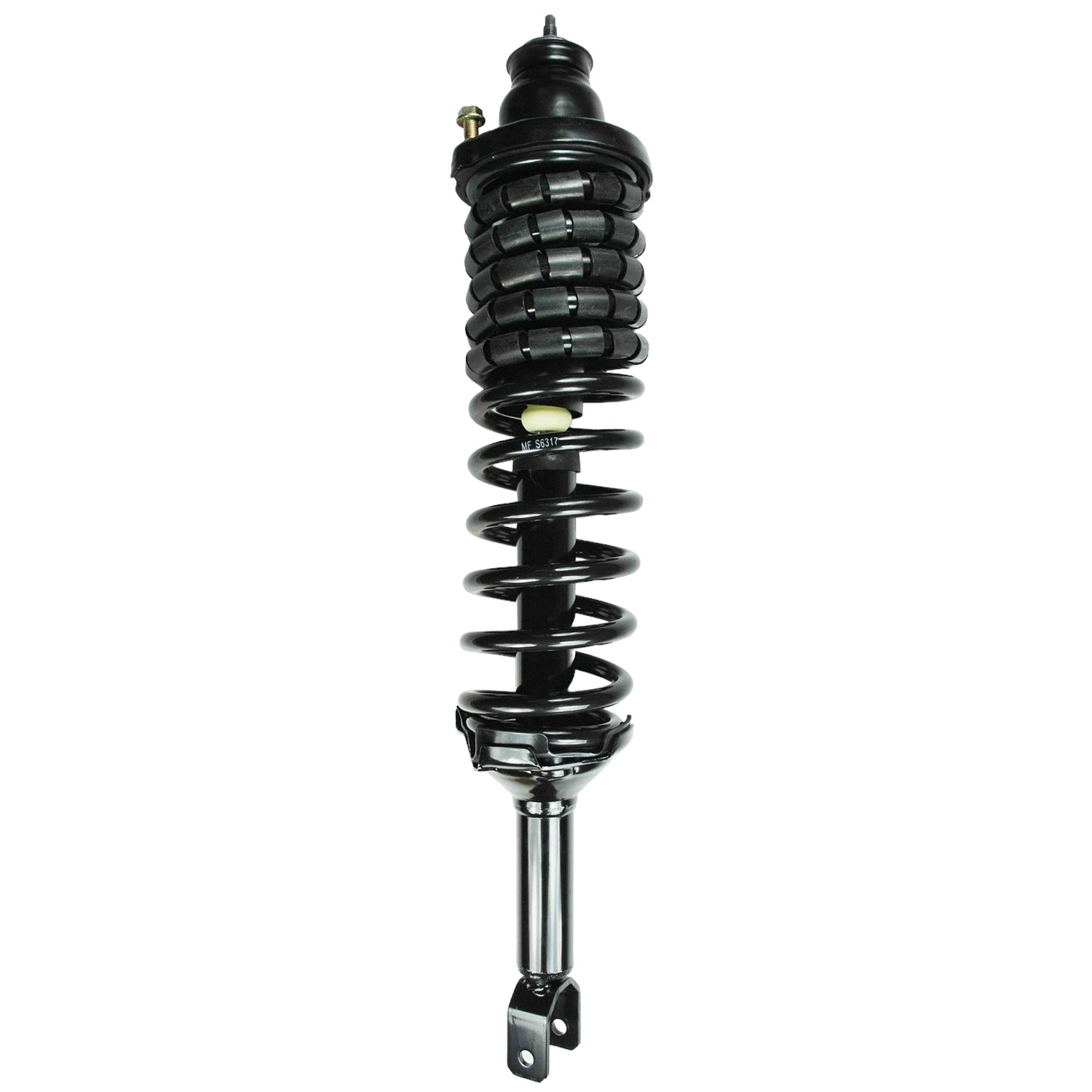 Suspension Strut and Coil Spring Assembly