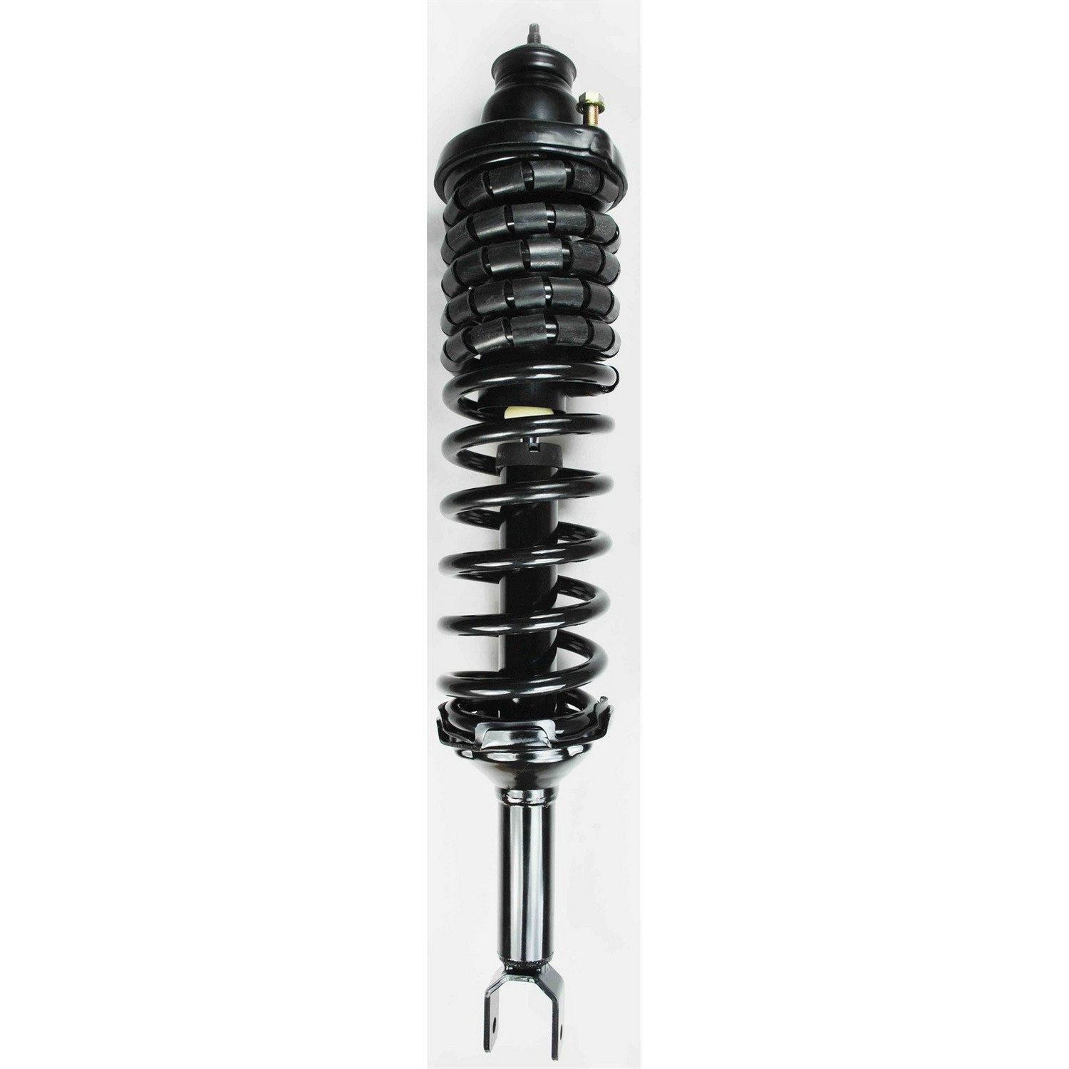 Suspension Strut and Coil Spring Assembly