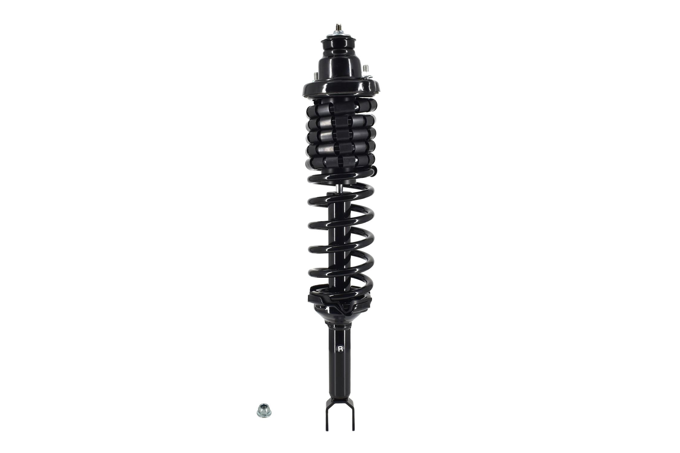 Suspension Strut and Coil Spring Assembly