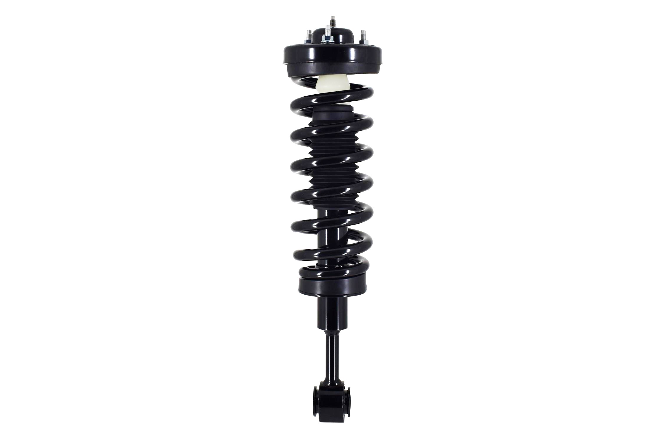 Suspension Strut and Coil Spring Assembly