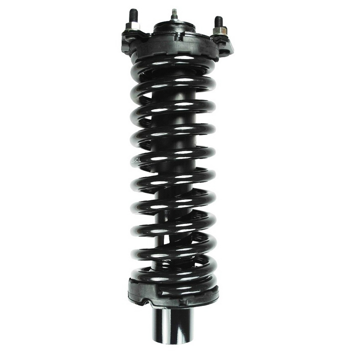 Suspension Strut and Coil Spring Assembly