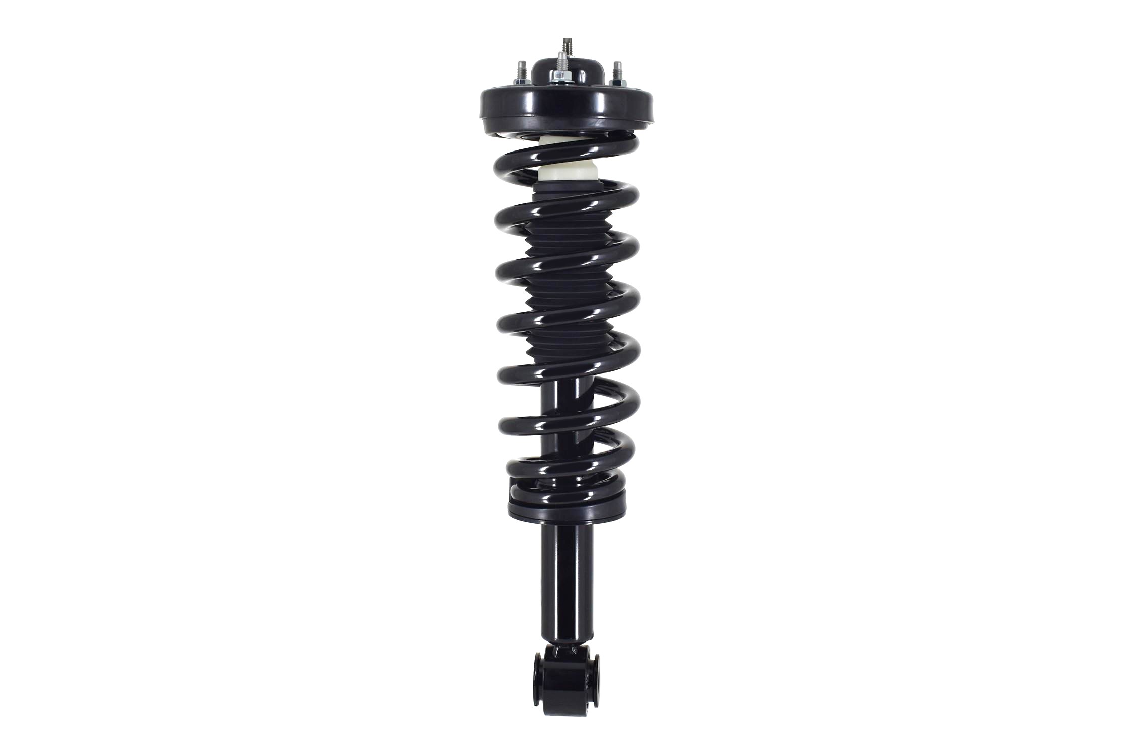 Suspension Strut and Coil Spring Assembly