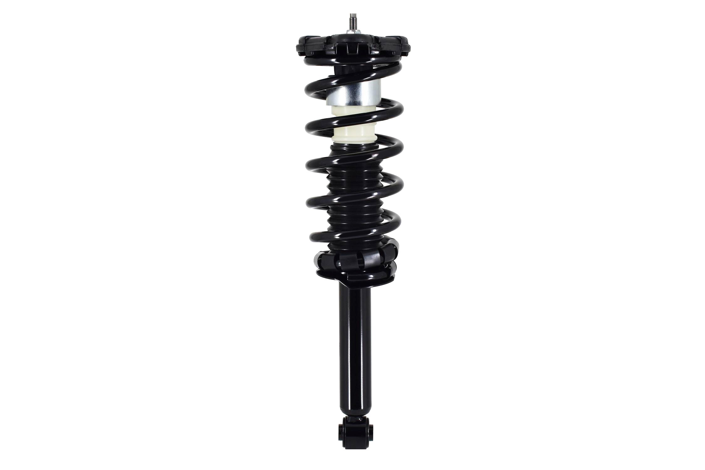 Suspension Strut and Coil Spring Assembly