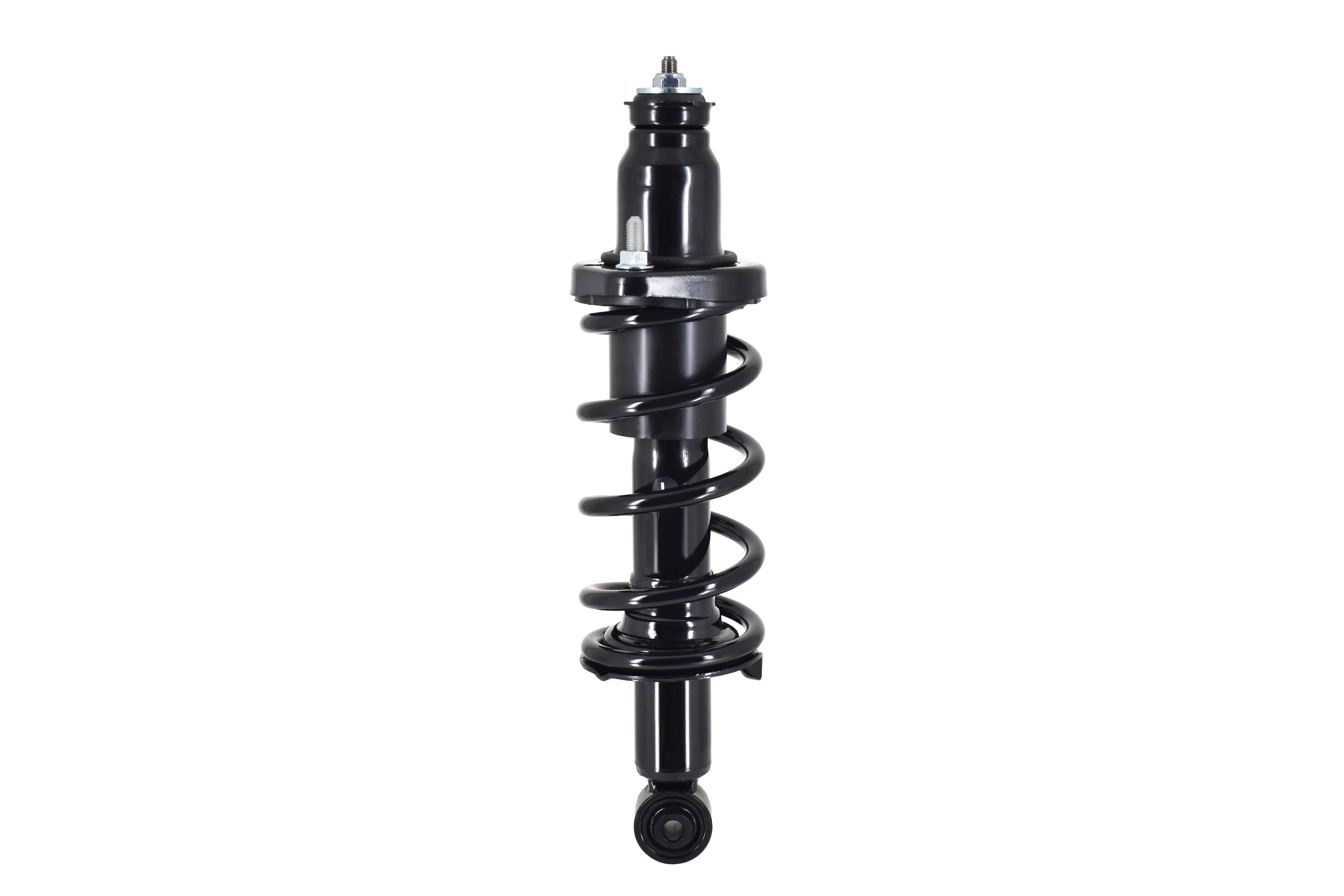 Suspension Strut and Coil Spring Assembly