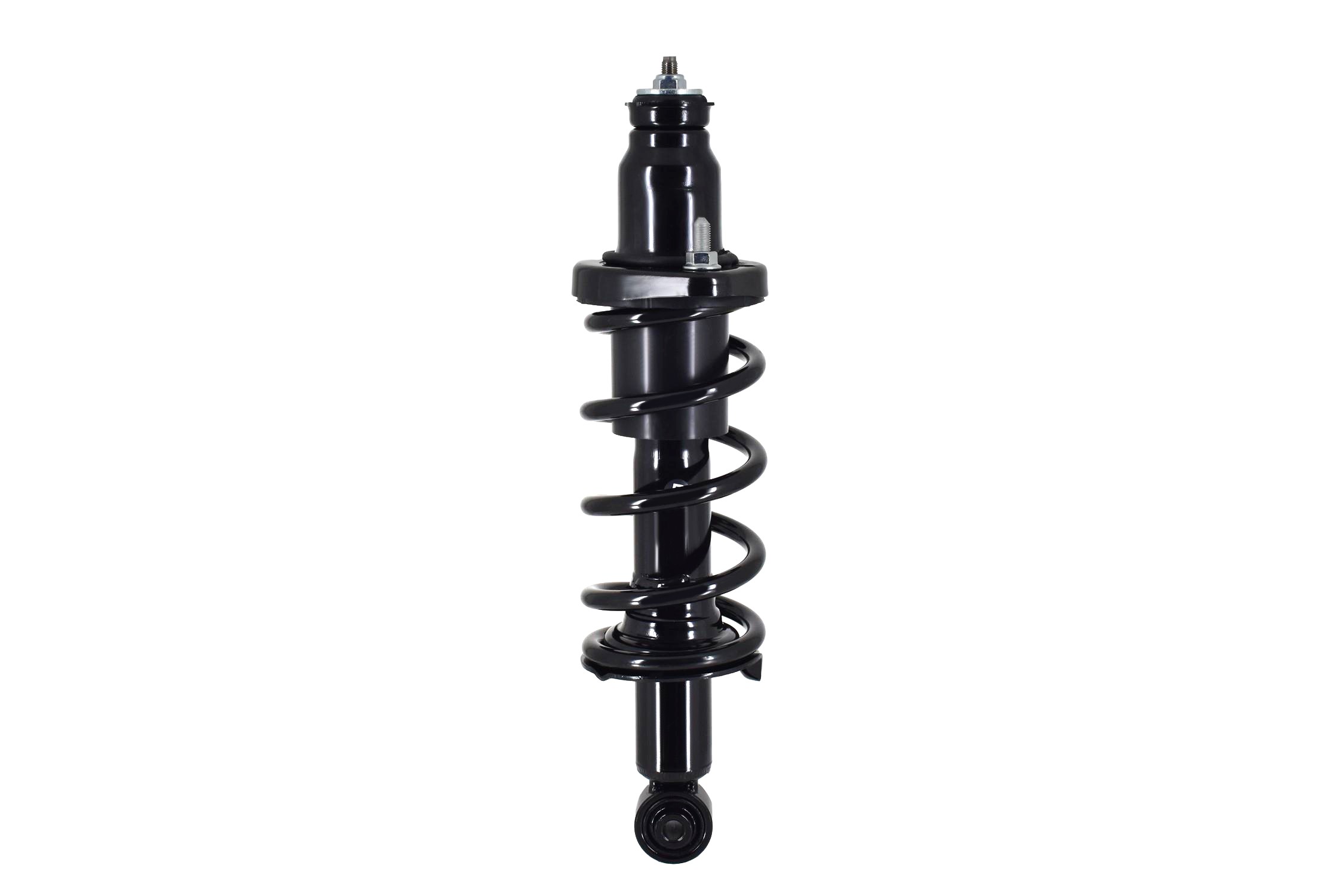 Suspension Strut and Coil Spring Assembly