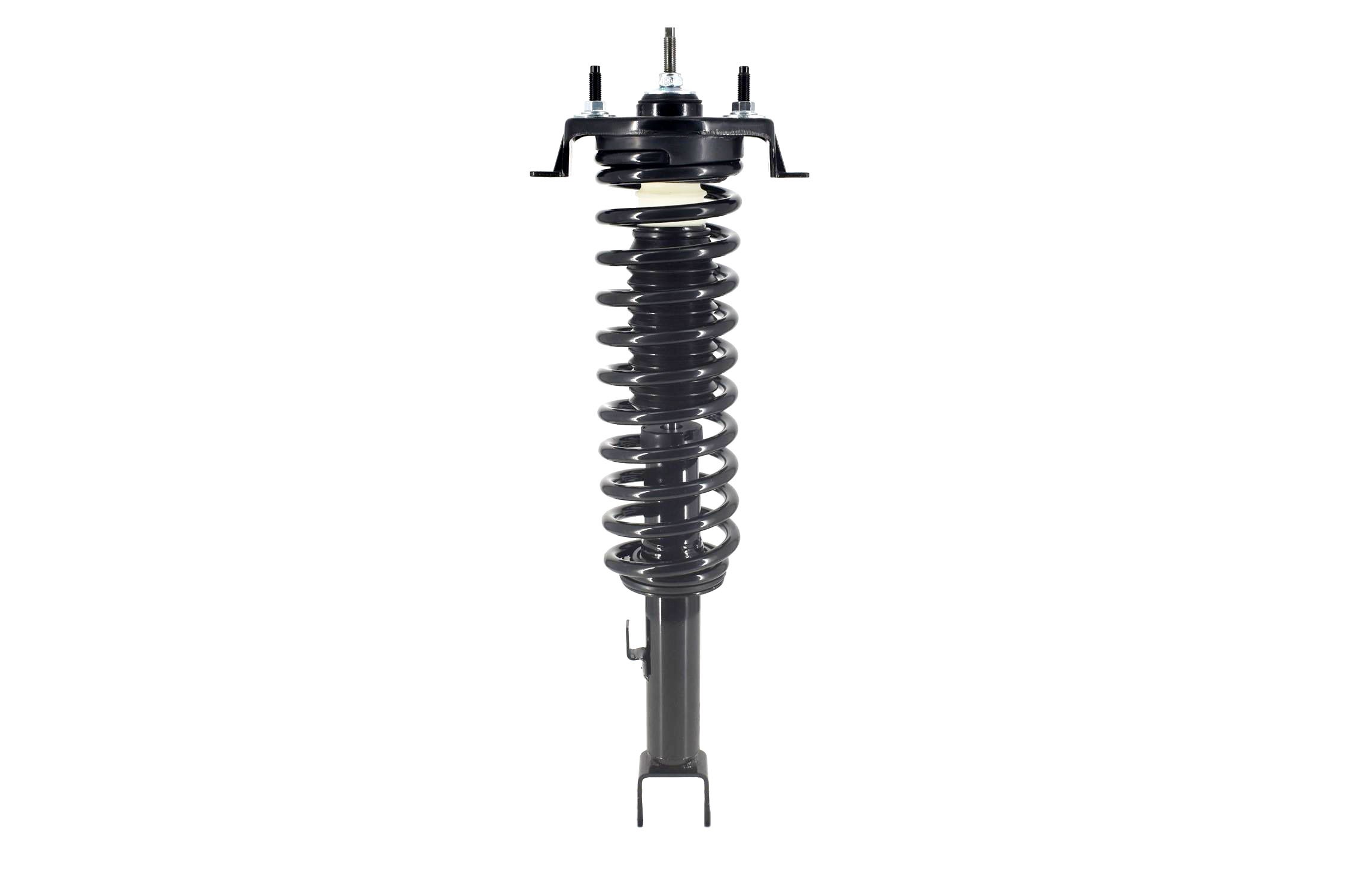 Suspension Strut and Coil Spring Assembly