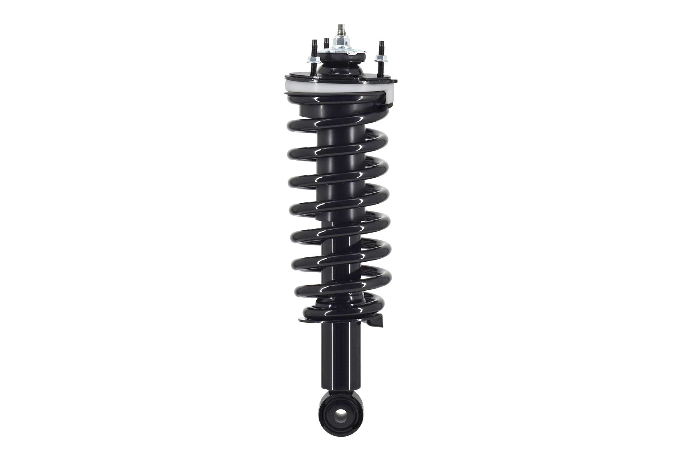 Suspension Strut and Coil Spring Assembly