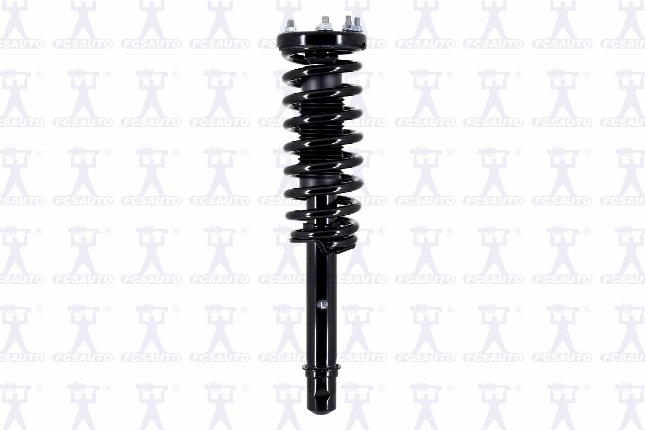 Suspension Strut and Coil Spring Assembly