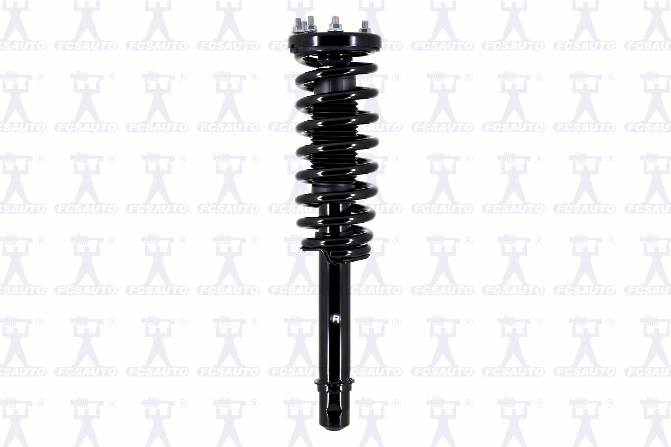 Suspension Strut and Coil Spring Assembly