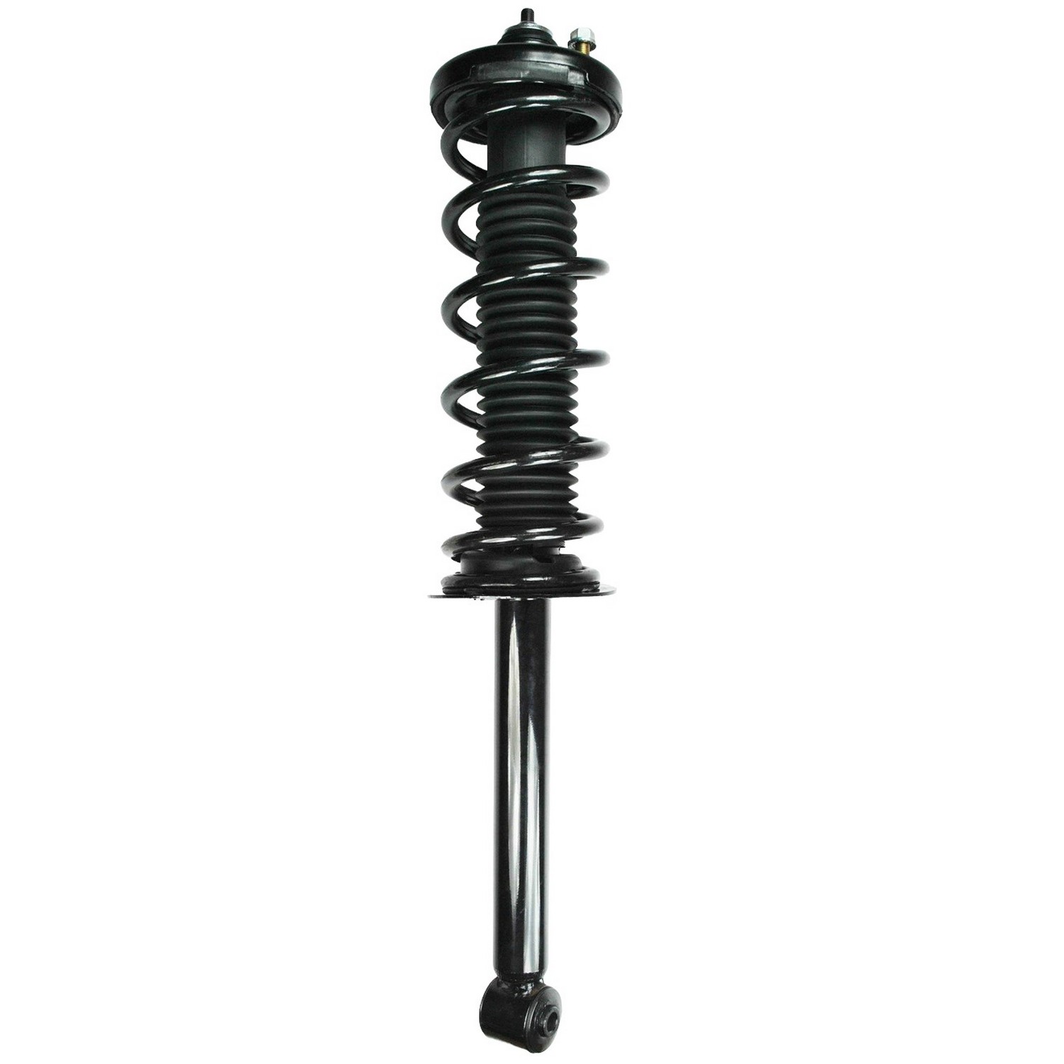 Suspension Strut and Coil Spring Assembly