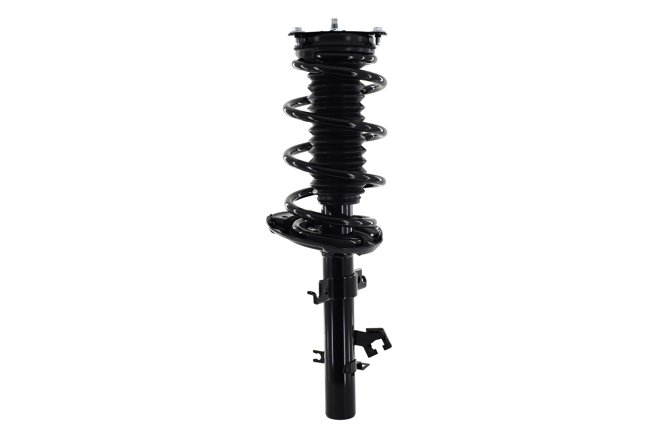 Suspension Strut and Coil Spring Assembly