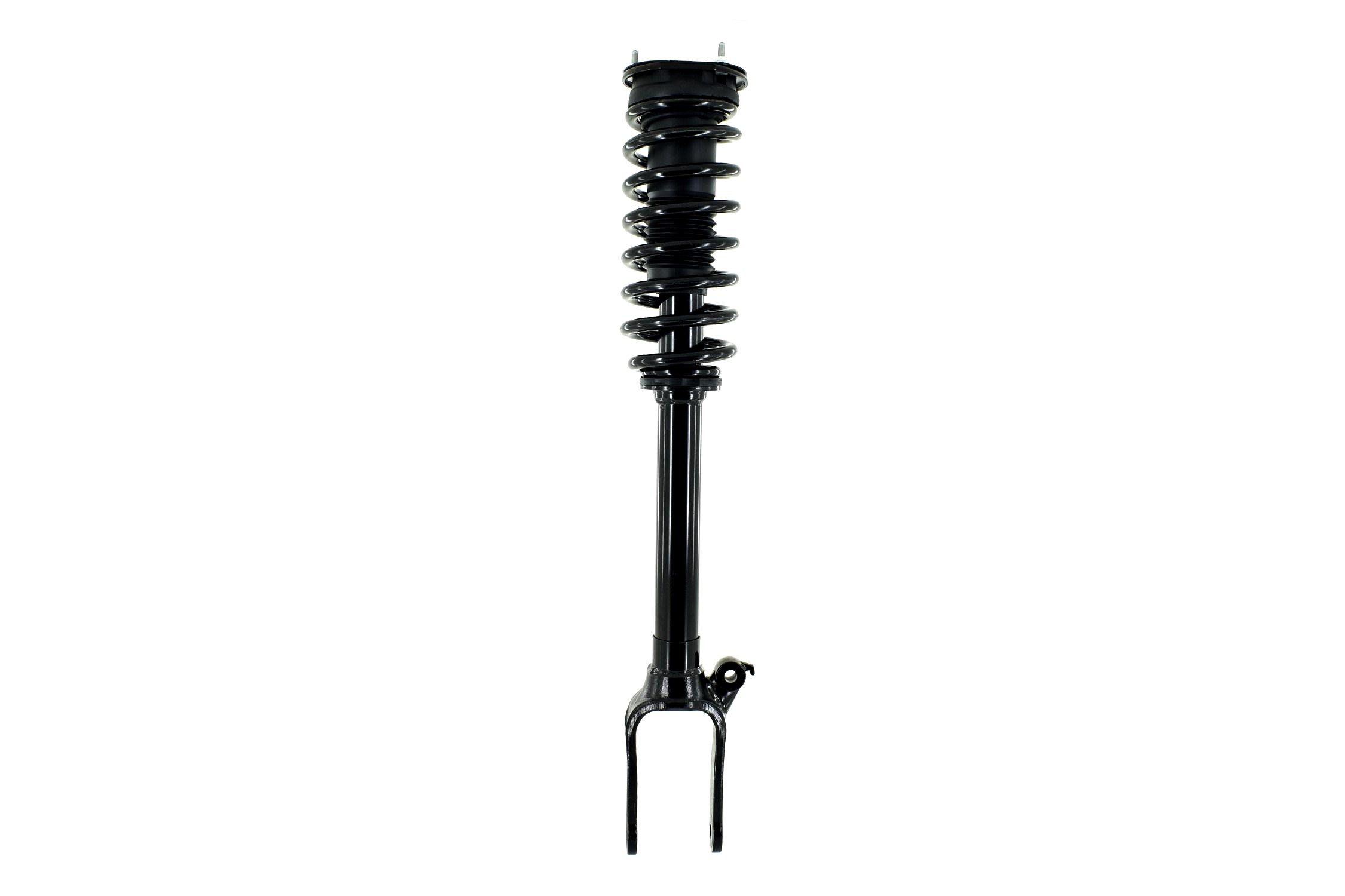 Suspension Strut and Coil Spring Assembly